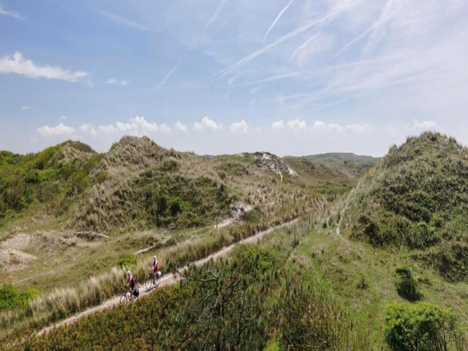 Huize Glory Turkoois: comfortabel vakantiehuis tussen bos en duinen - foto 25
