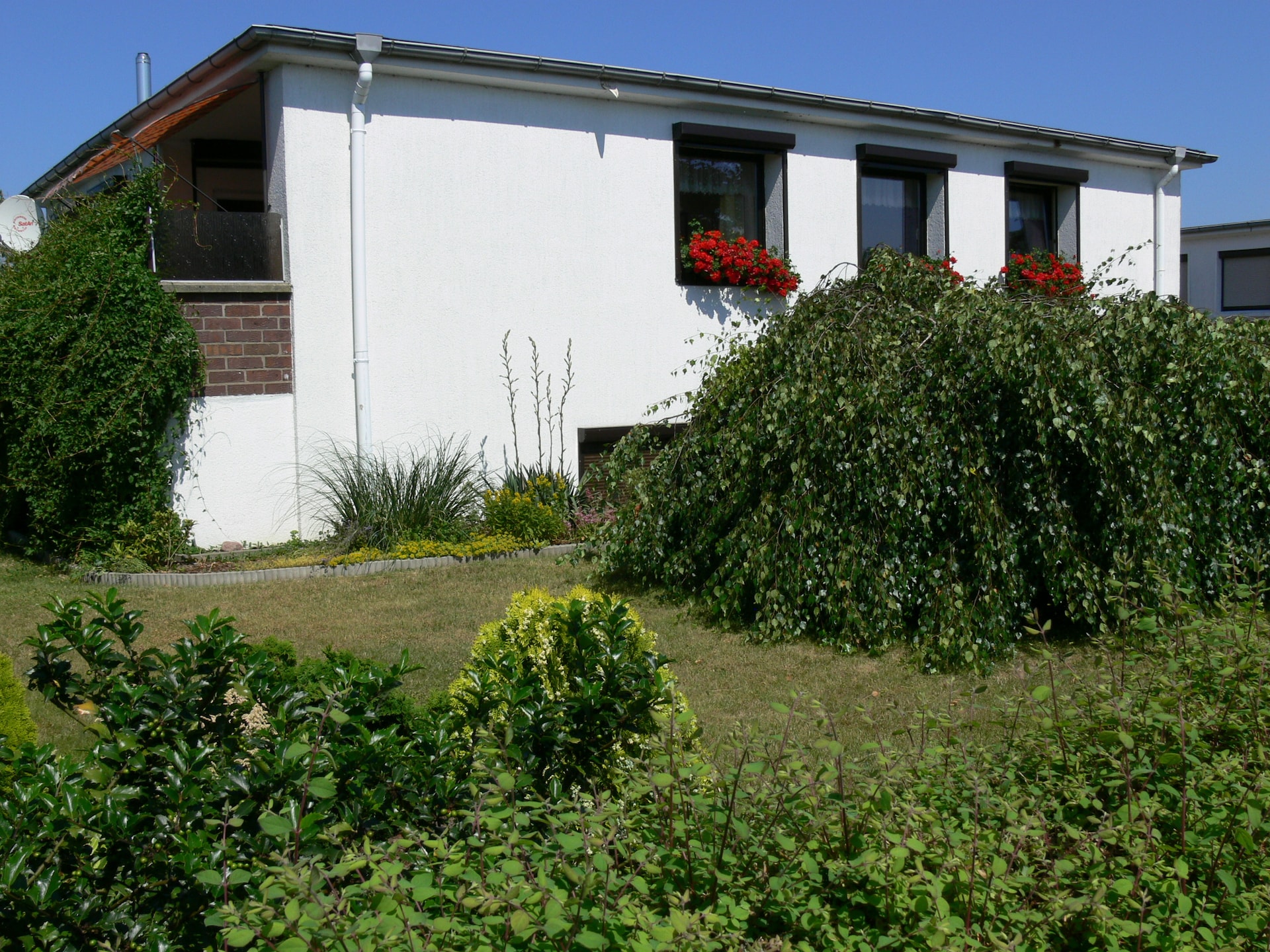 Direct aan het strand: Rustgevend appartement in Ostseebad Rerik - foto 2