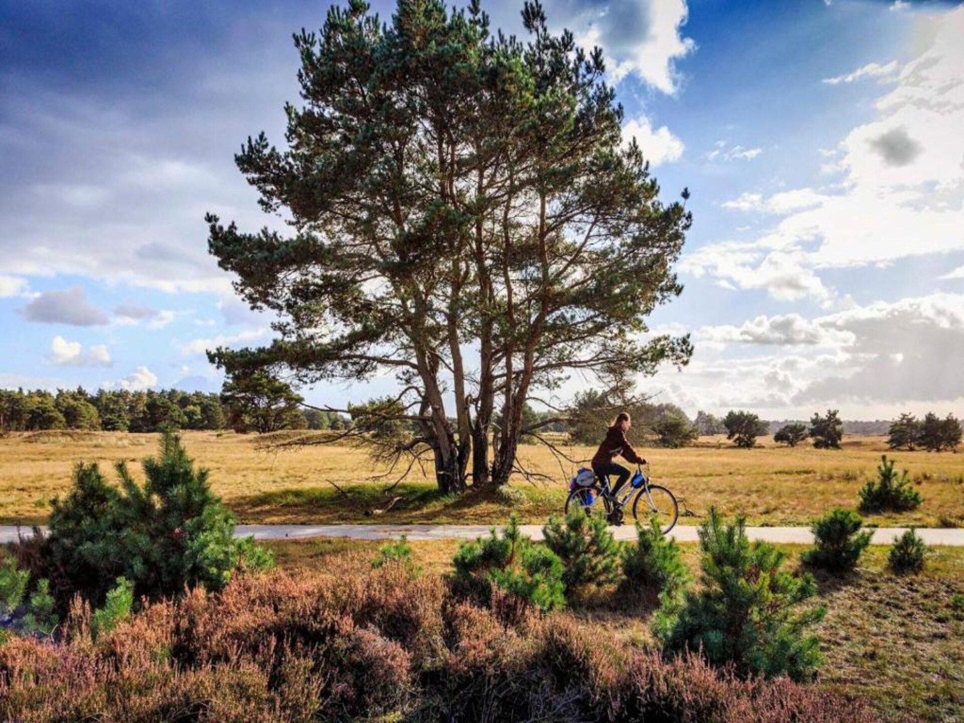 Kukeluusje: Luxe Finse chalet met sauna op de Veluwe - foto 36