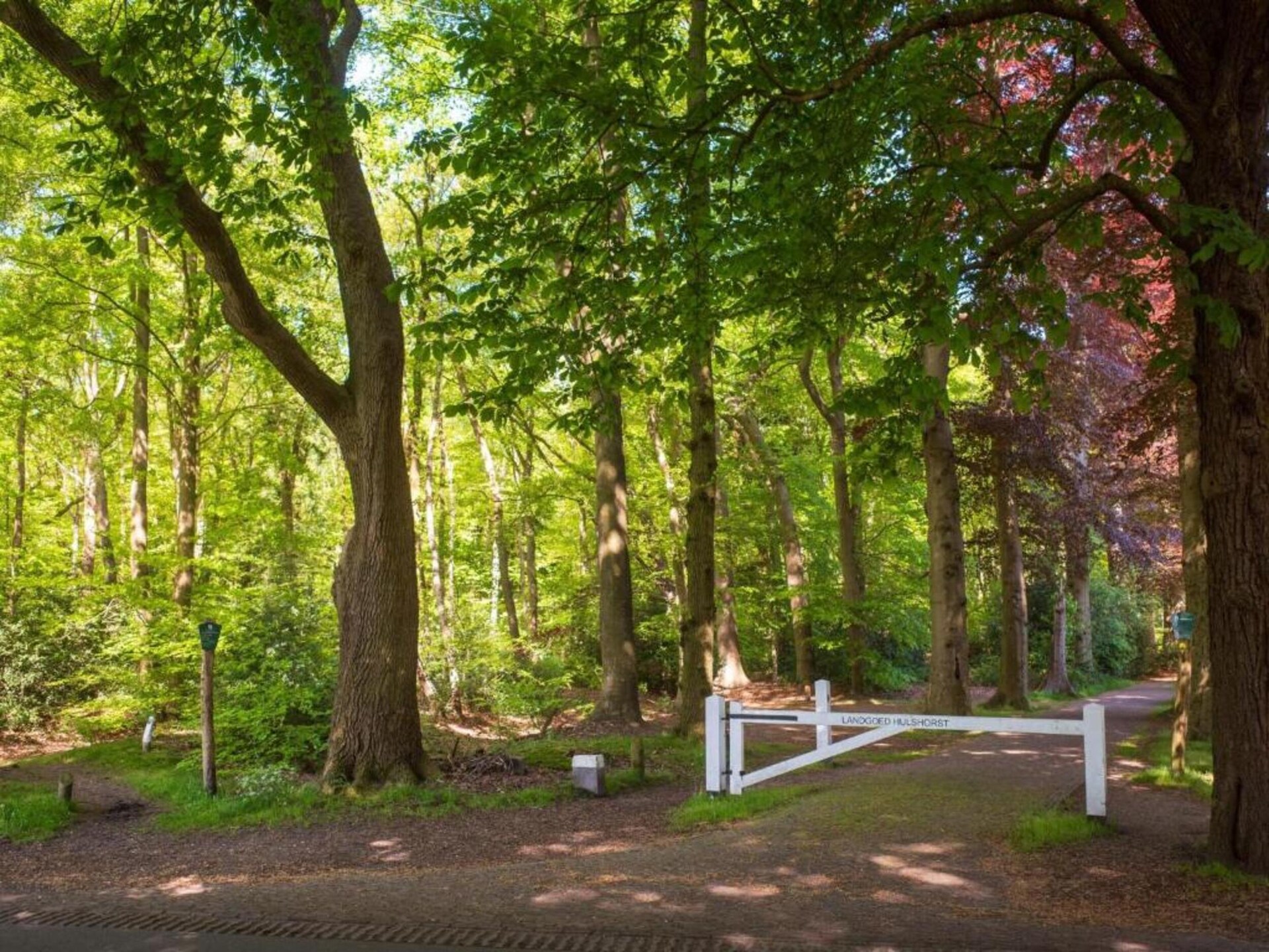 Kukeluusje: Luxe Finse chalet met sauna op de Veluwe - foto 31