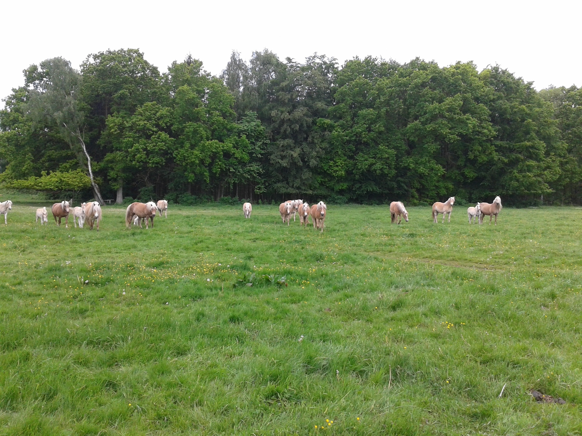 Landelijk appartement bij Zarnewanz met grote tuin, vlakbij Rostock - foto 13