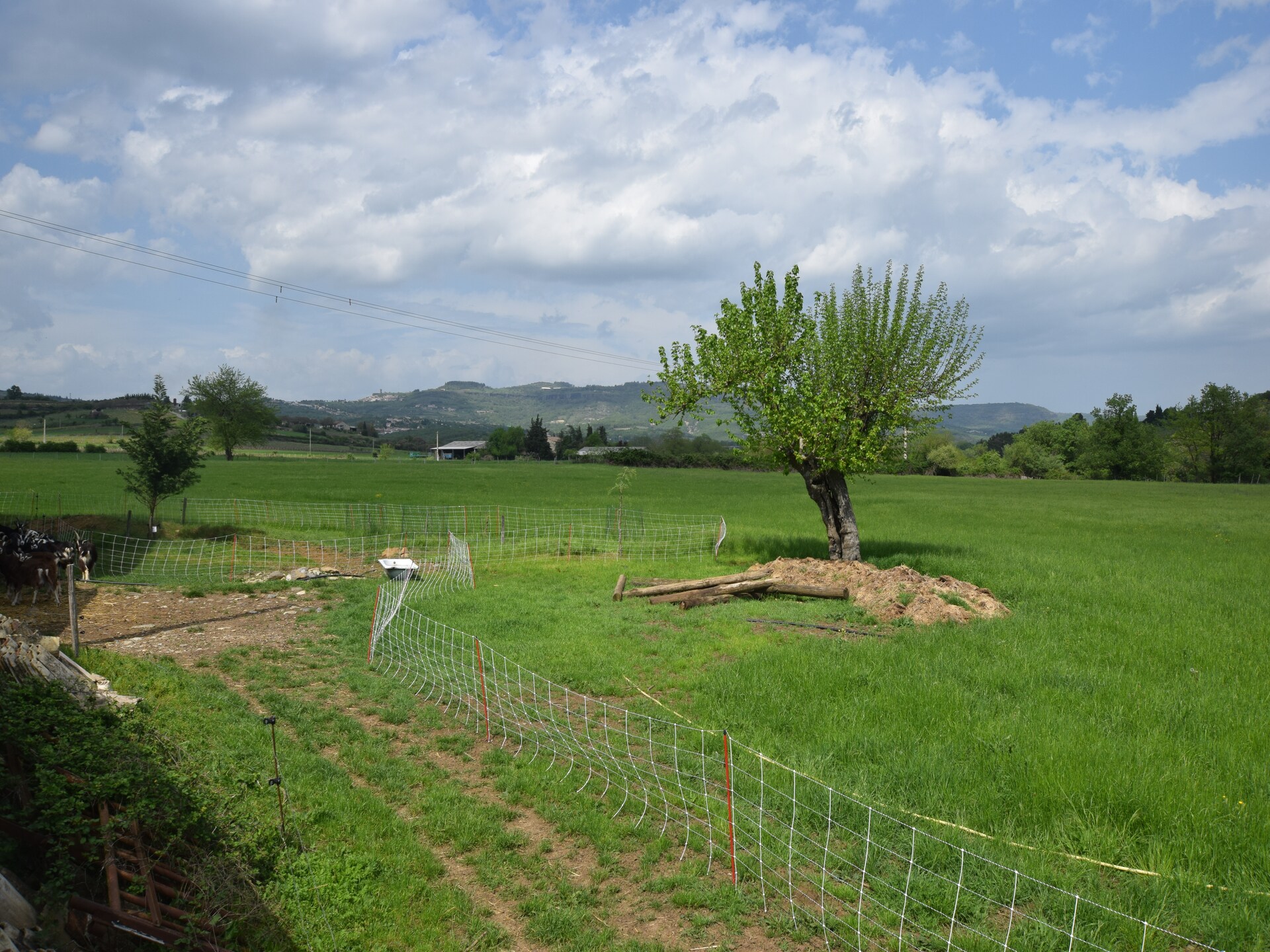 Landelijk cottage voor 4 personen met zwembad bij Mirabel, Ardèche - foto 30