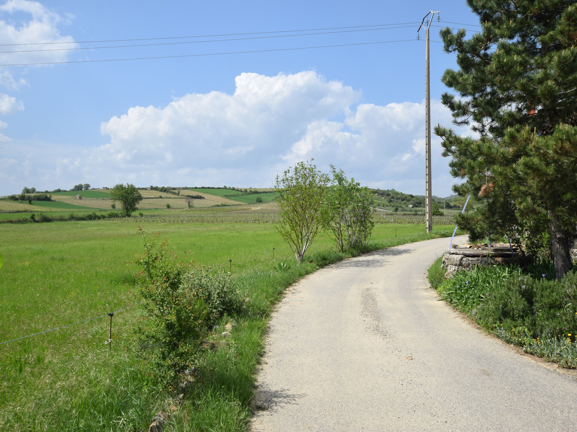 Landelijk cottage voor 4 personen met zwembad bij Mirabel, Ardèche - foto 35