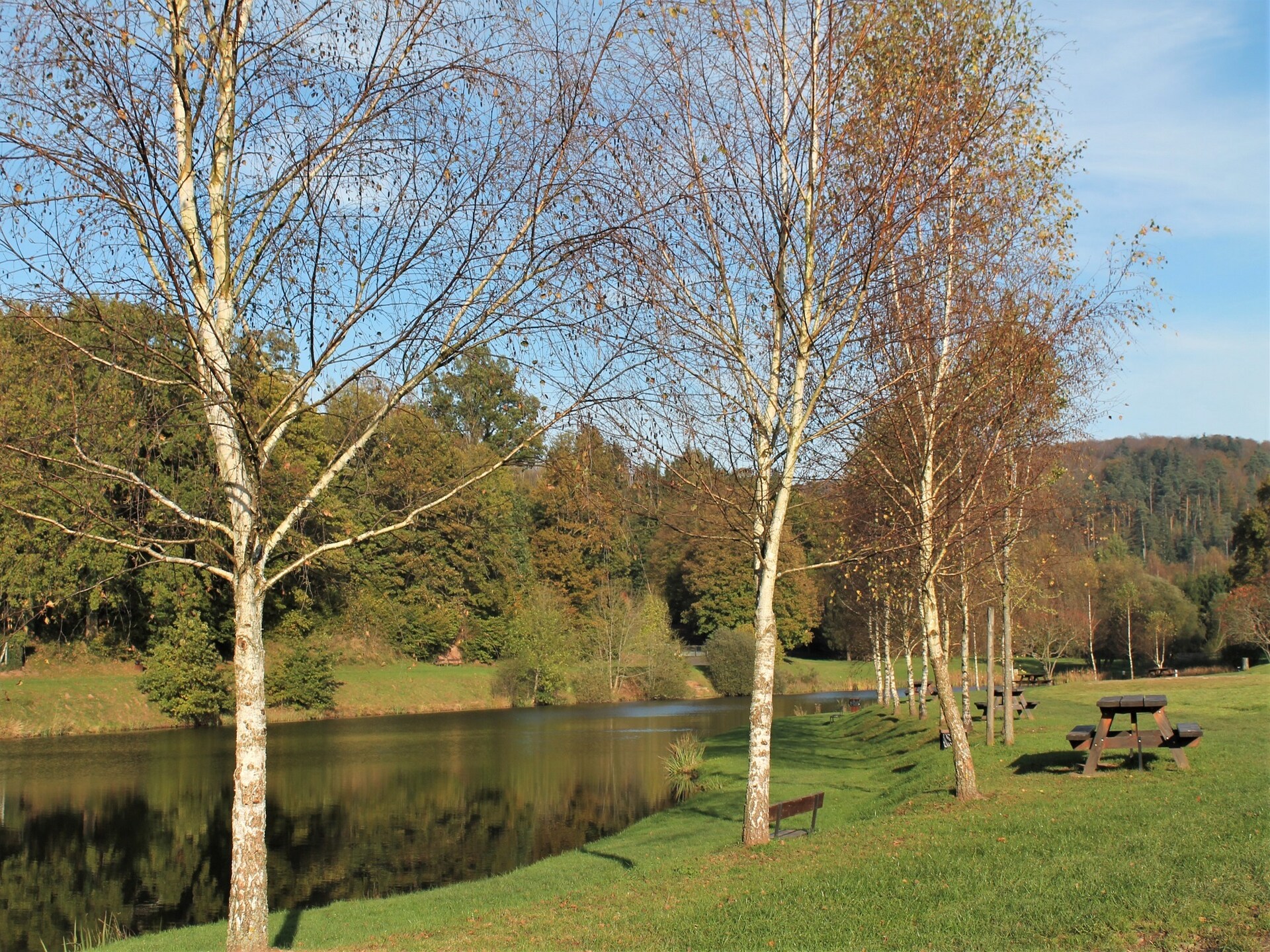 Loftvakantiehuis met Nordic bad vlakbij recreatiemeer in Saint-Quirin - foto 40