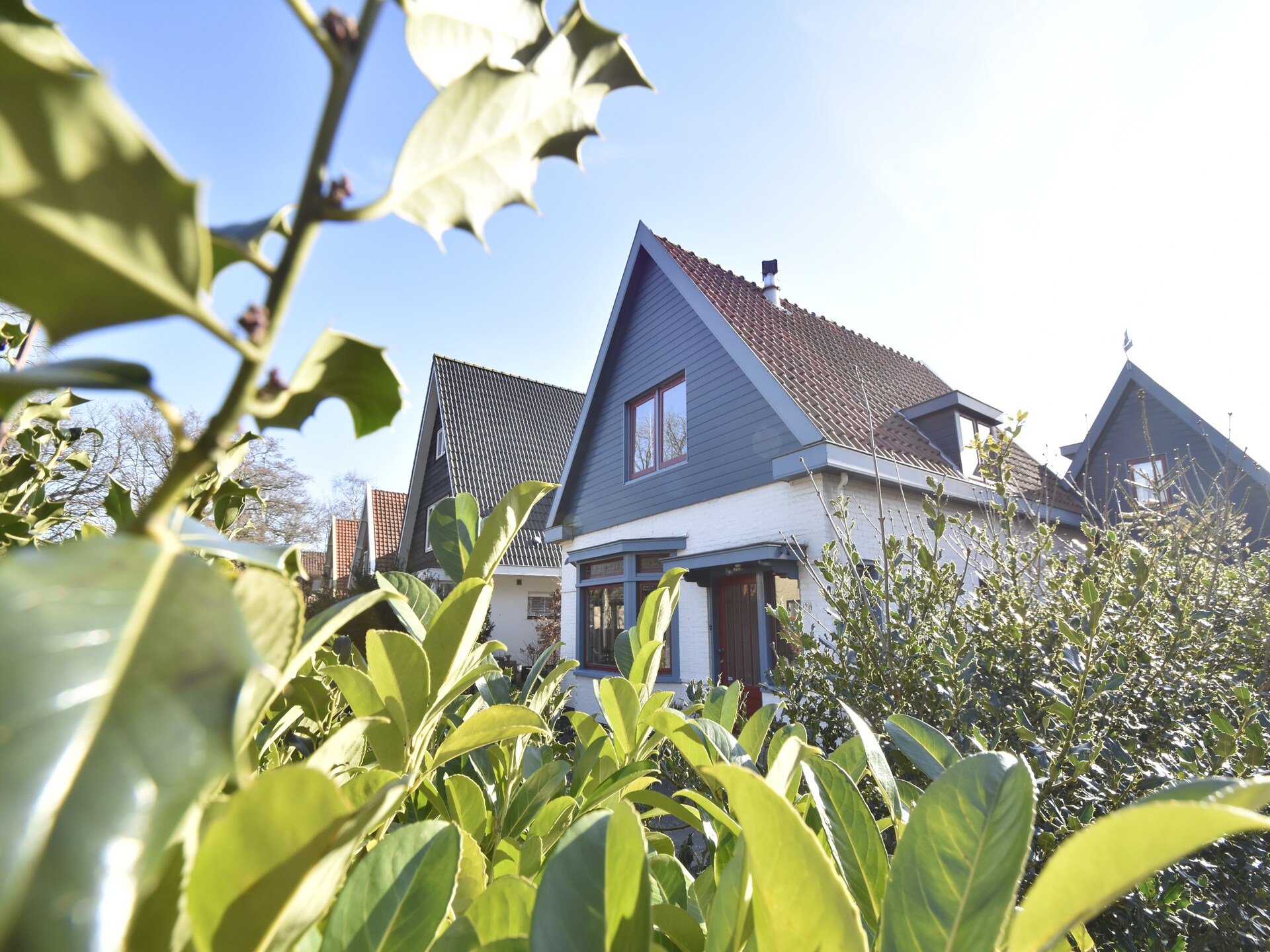 Bergens Roodborstje: sfeervol familiehuis aan bos en golfbaan - foto 7