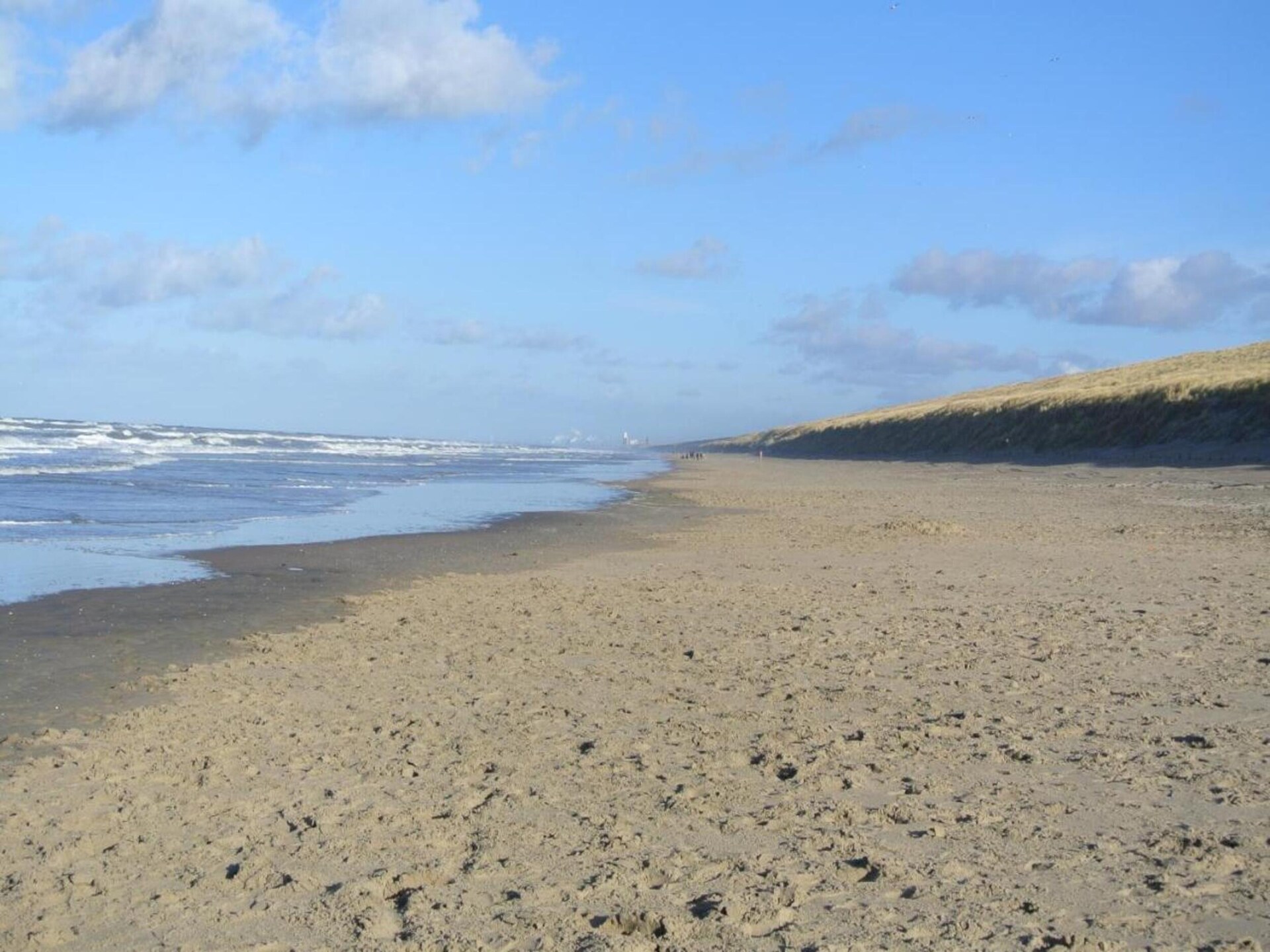 Bos-Lodge: sfeervolle bungalow tussen bos, water en strand - foto 38