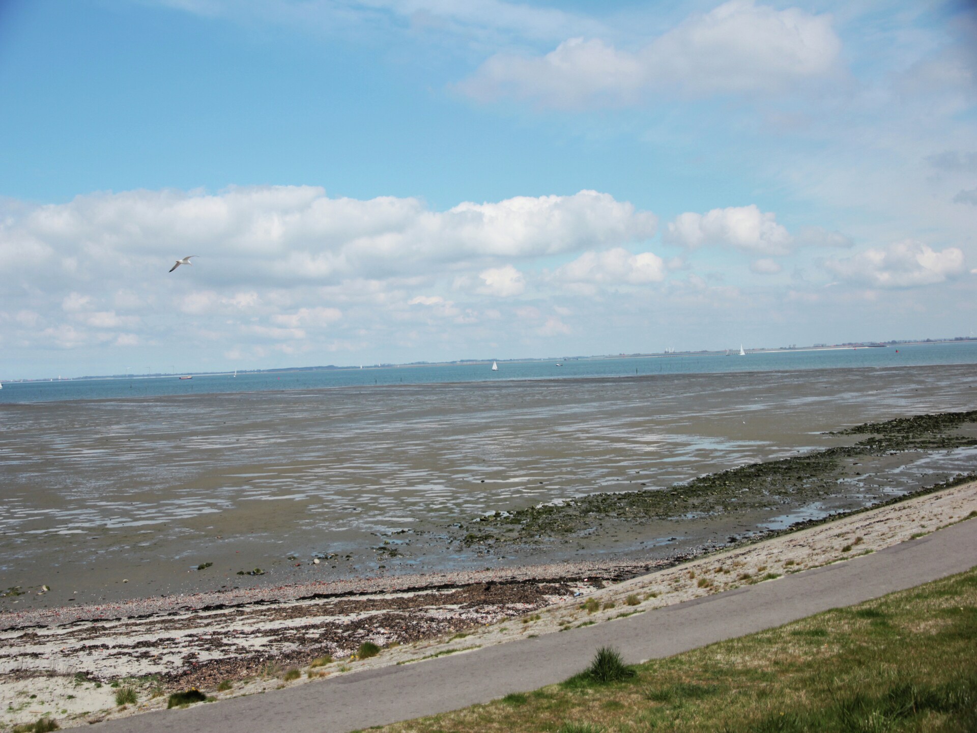 Weidse Blik: Vrijstaand chalet met tuin aan de Oosterschelde - foto 29