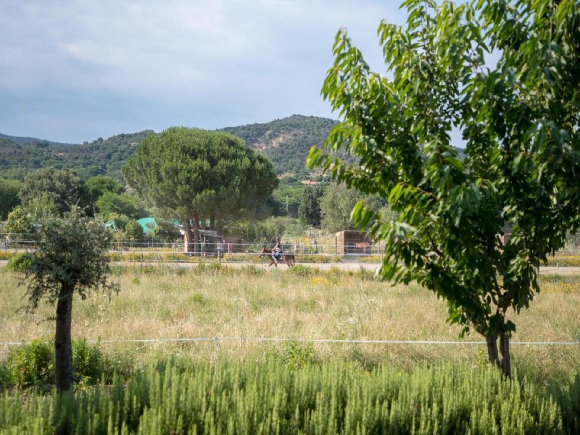 Knus appartement met zwembad in parkachtige oase van Grimaud - foto 24