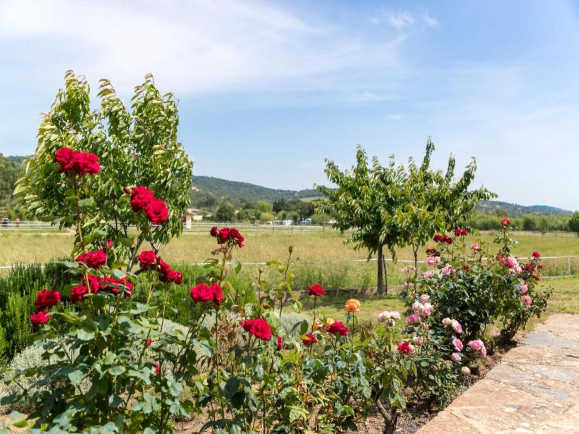 Appartement voor 8 personen met zwembad in groen Grimaud, Côte d'Azur - foto 25
