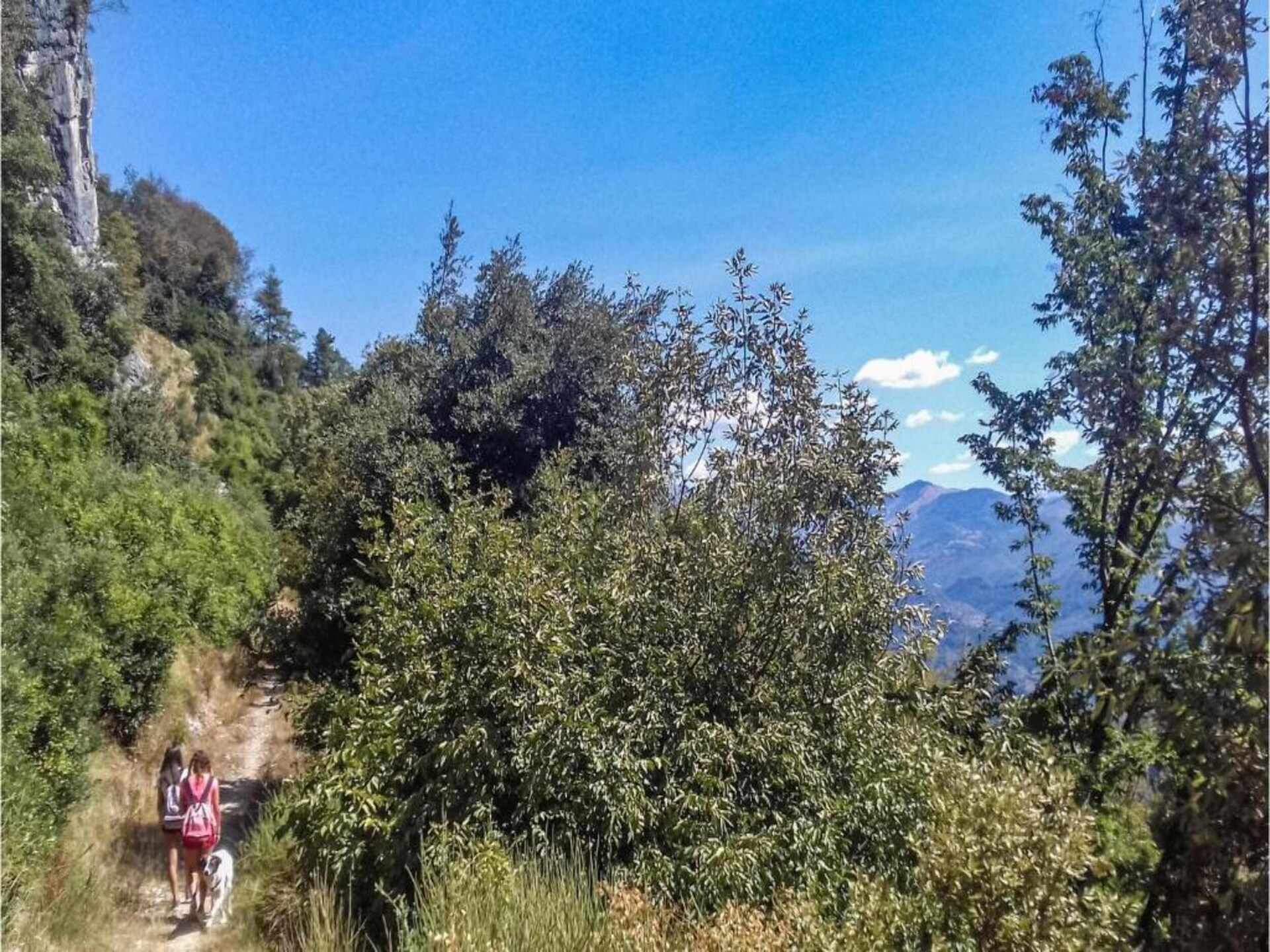 Landhuis Cipressa: Ruim vakantiehuis met privézwembad bij Lucca - foto 17