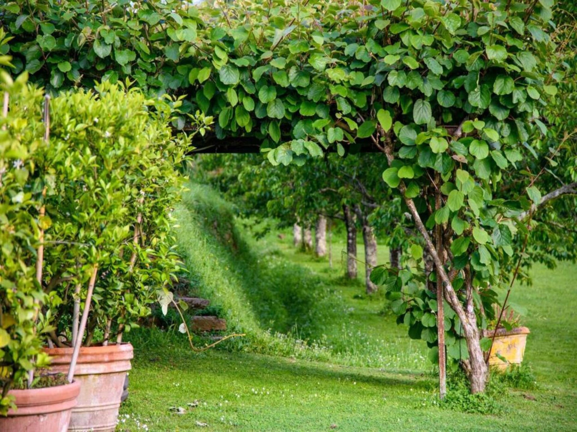 Landhuis Cipressa: Ruim vakantiehuis met privézwembad bij Lucca - foto 15