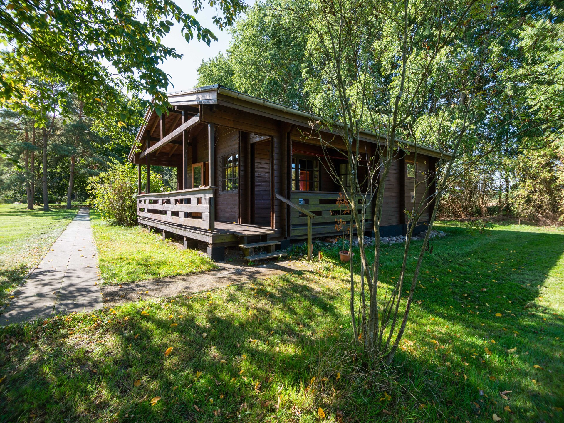 Knus vakantiehuis in Eschede, omringd door bos en heide - foto 33