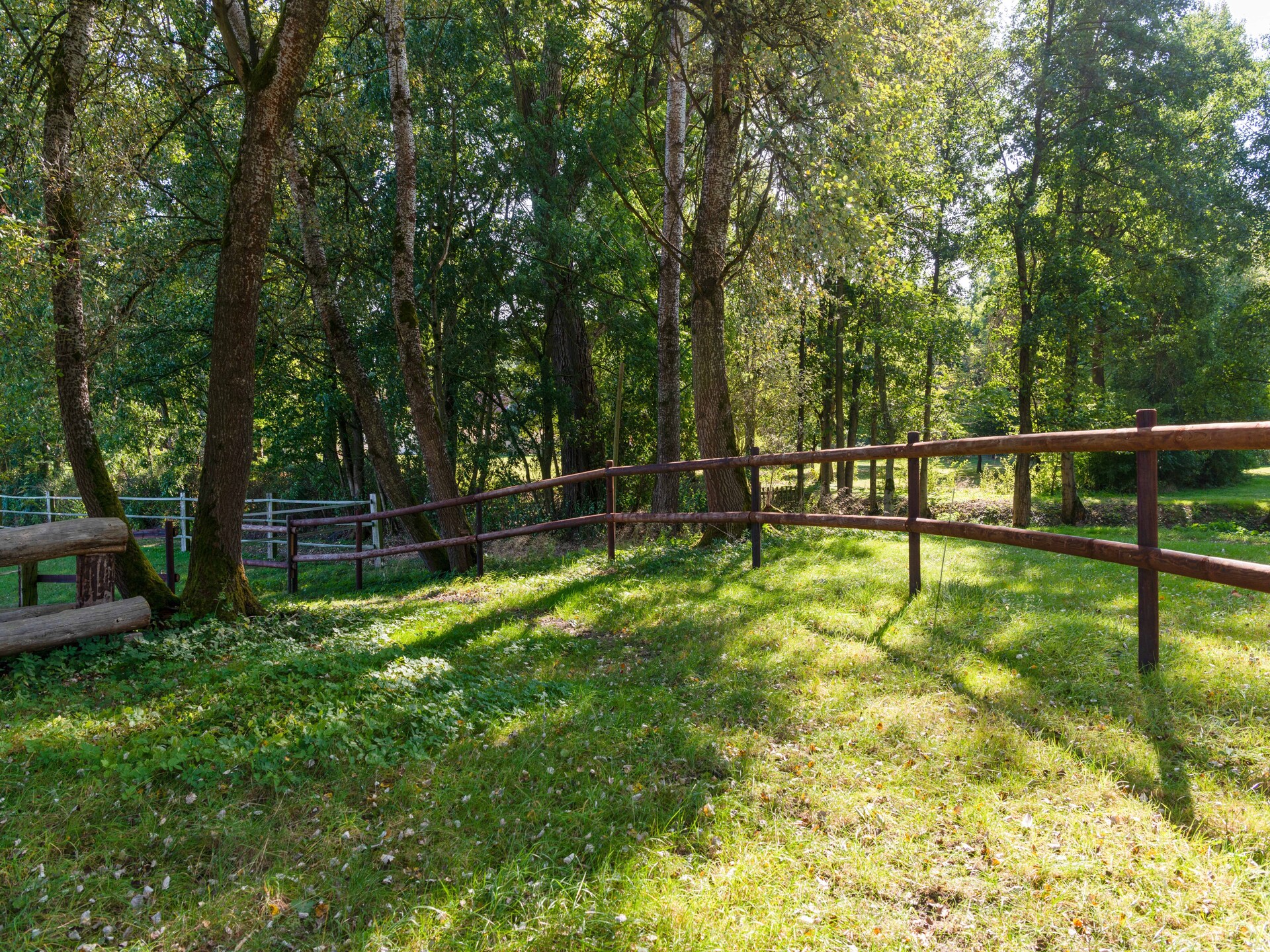 Knus vakantiehuis in Eschede, omringd door bos en heide - foto 34