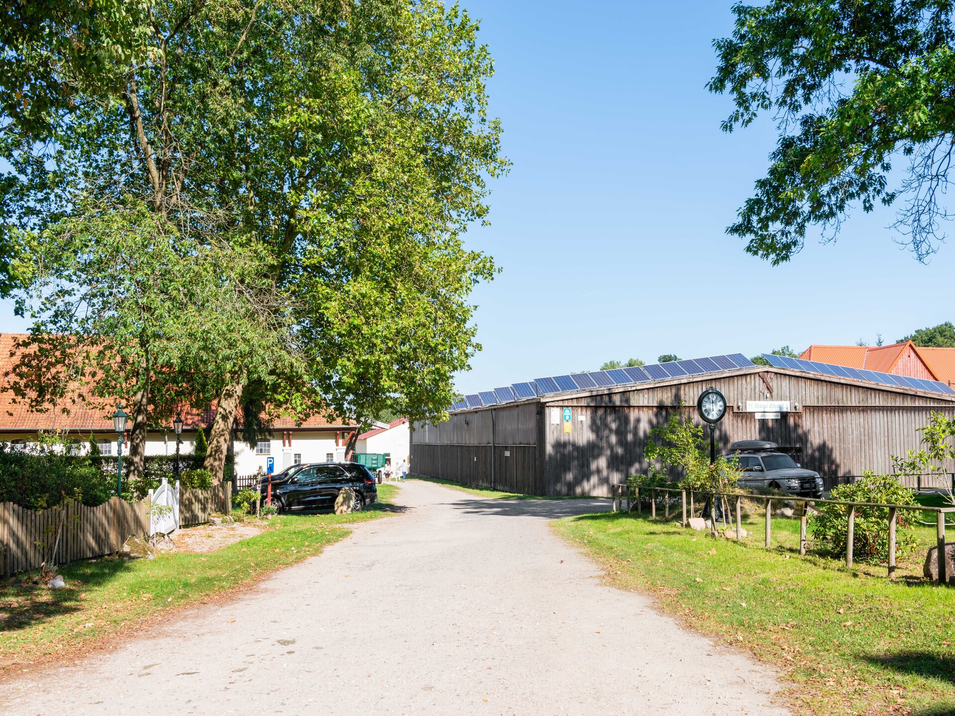 Knus vakantiehuis in Eschede, omringd door bos en heide - foto 28