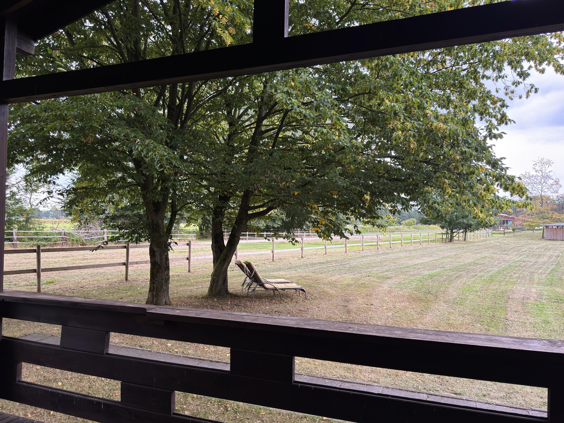 Knus vakantiehuis in Eschede, omringd door bos en heide - foto 19