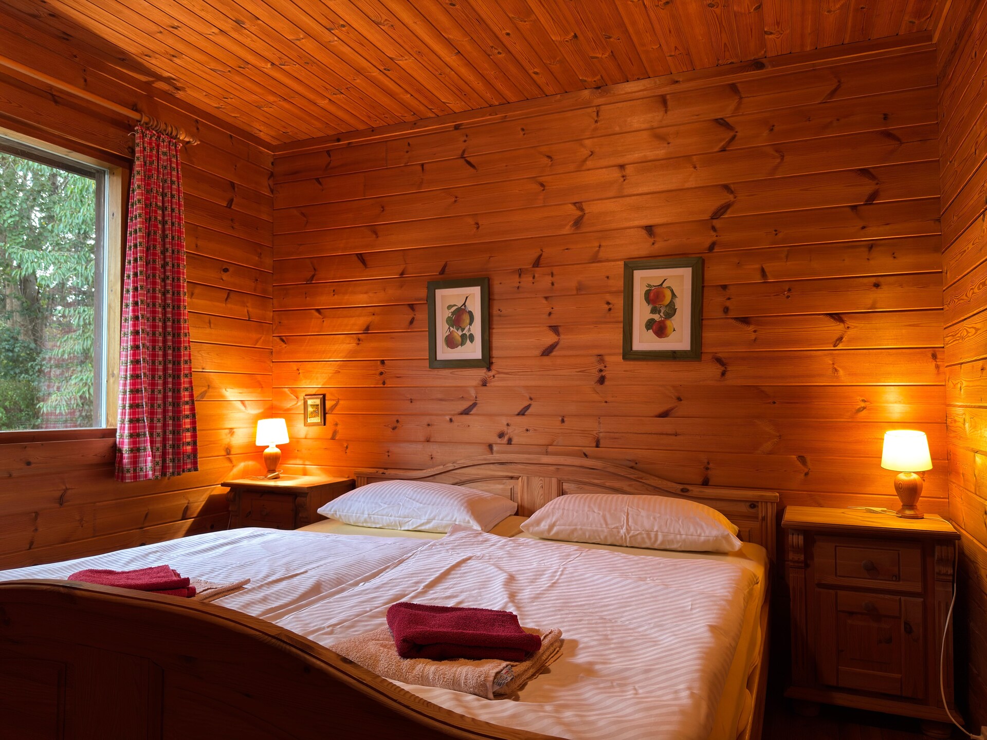 Knus vakantiehuis in Eschede, omringd door bos en heide - foto 11