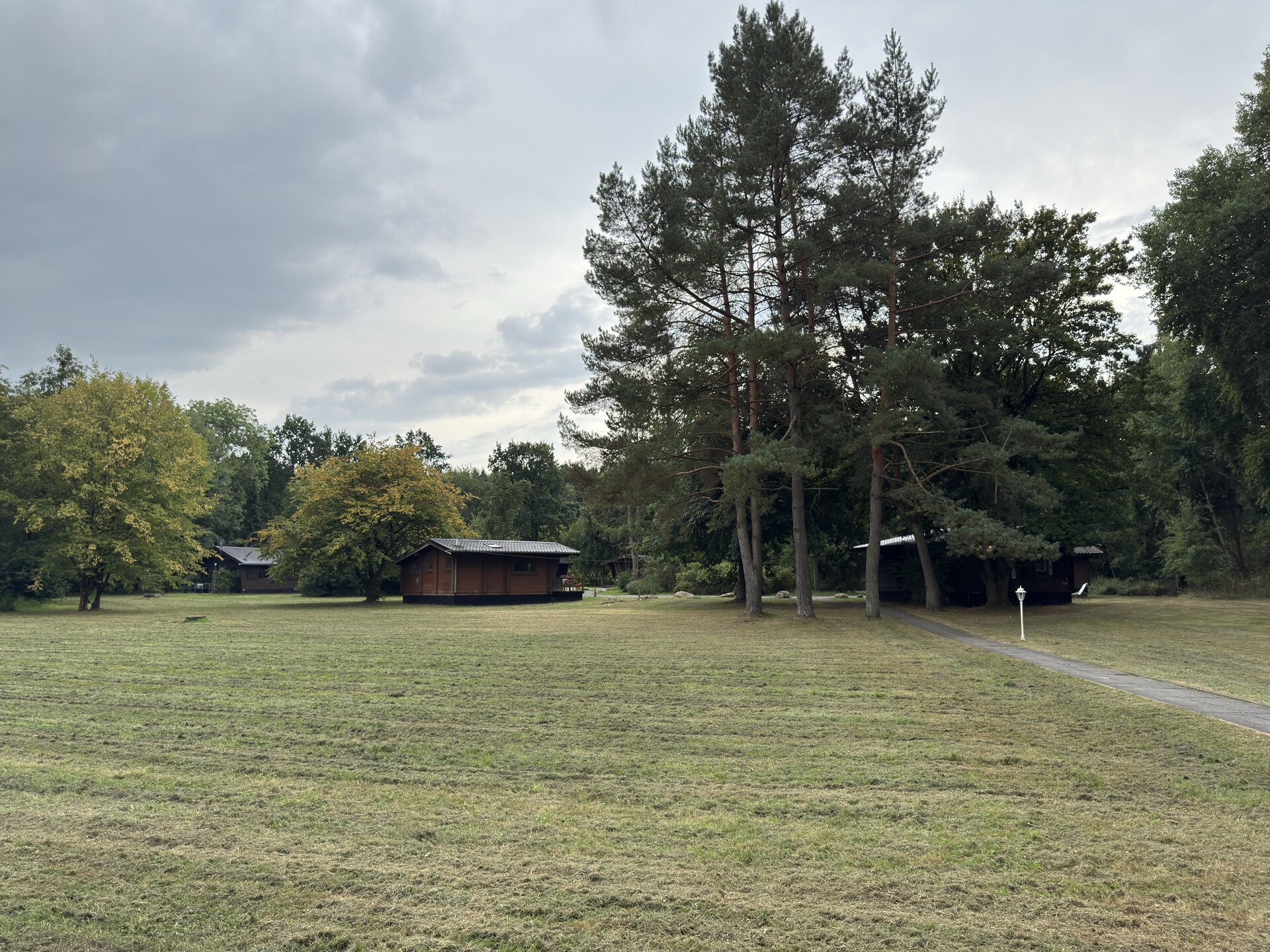 Knus vakantiehuis in Eschede, omringd door bos en heide - foto 20
