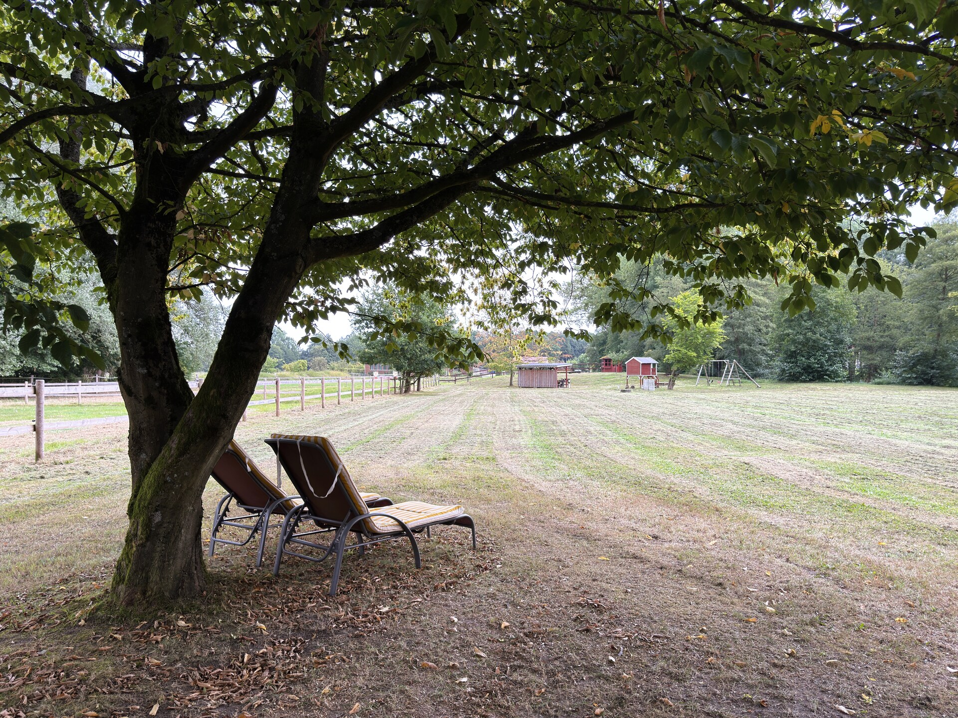 Knus vakantiehuis in Eschede, omringd door bos en heide - foto 21