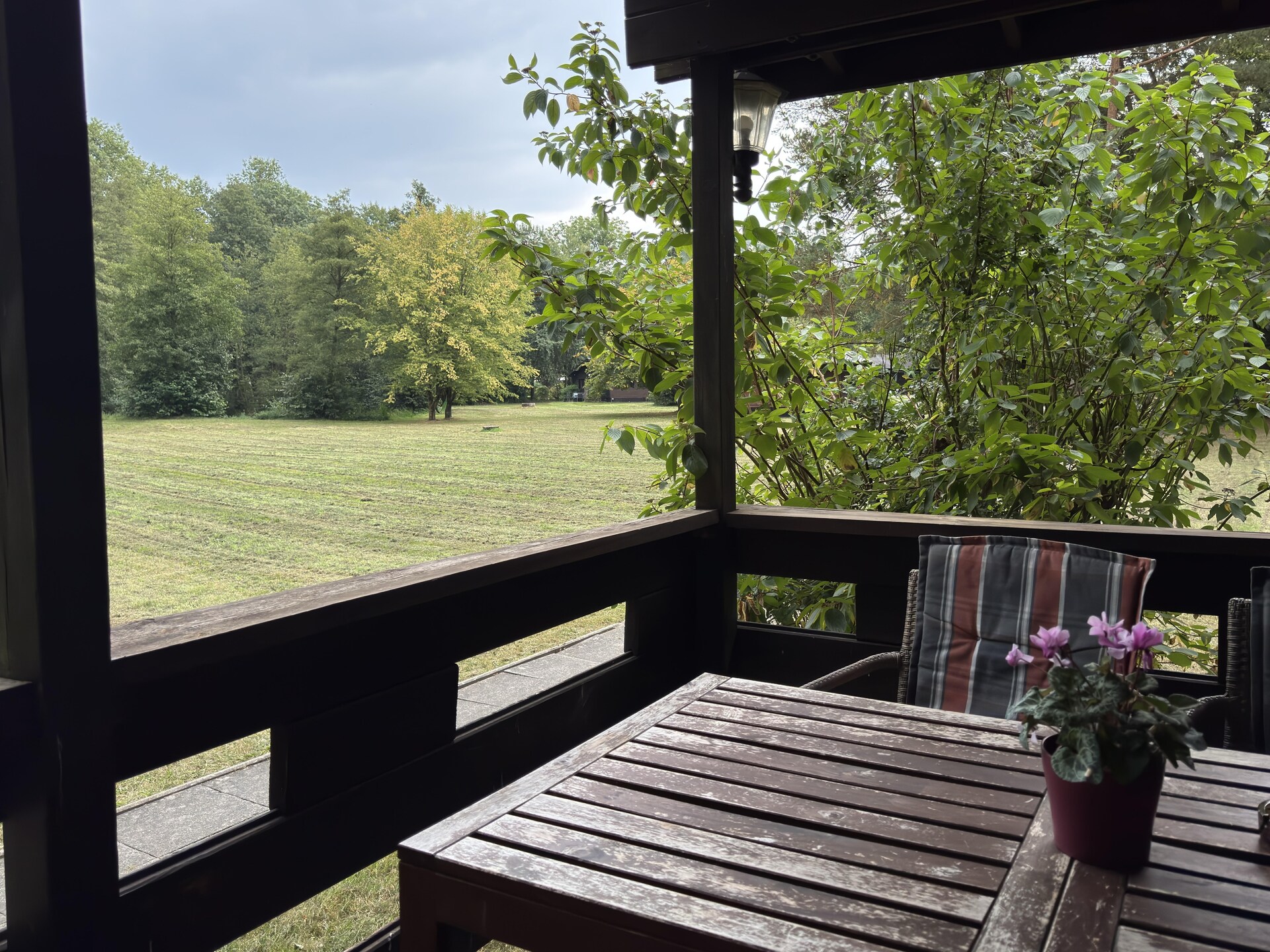 Knus vakantiehuis in Eschede, omringd door bos en heide - foto 17