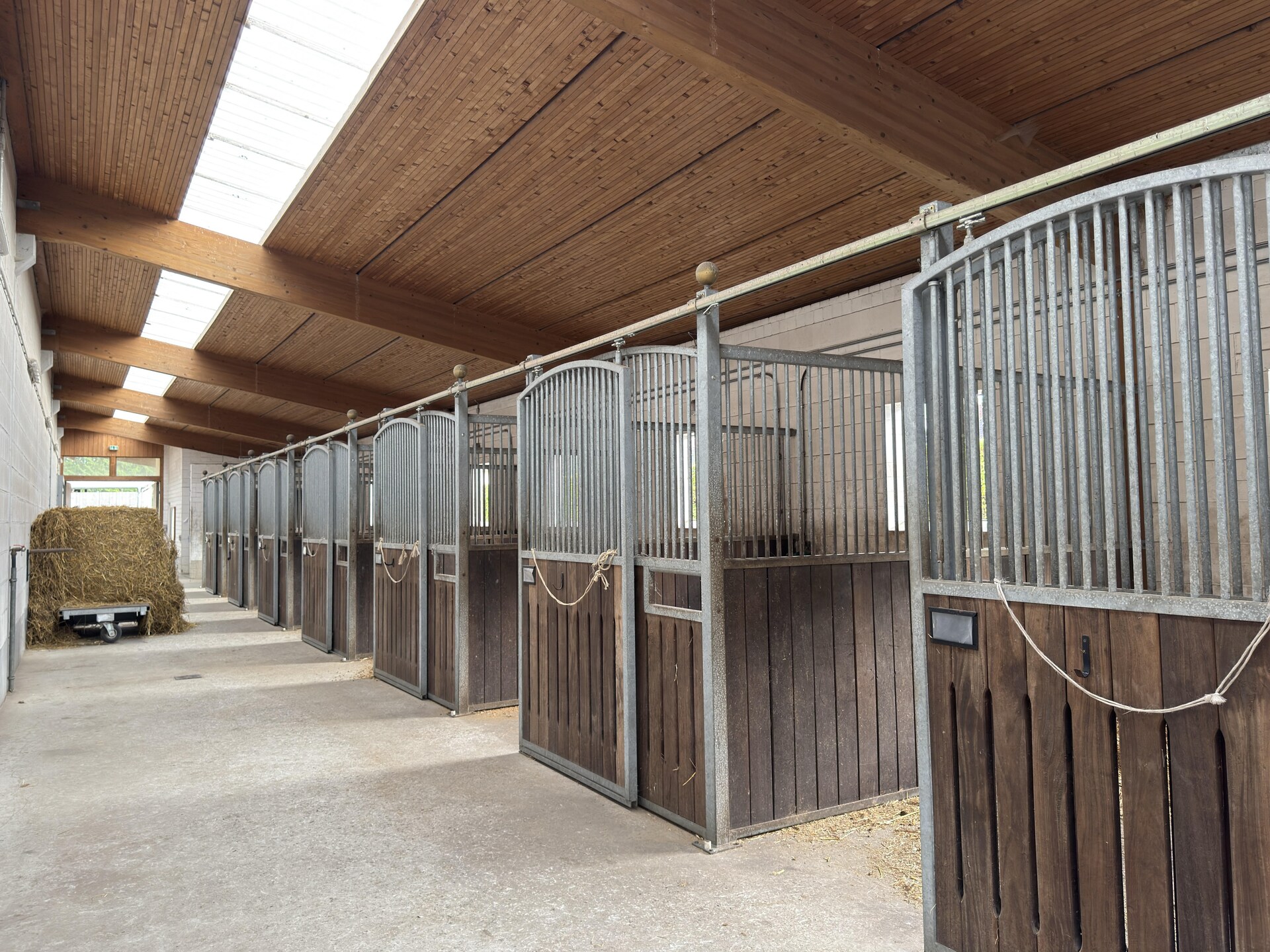 Knus vakantiehuis in Eschede, omringd door bos en heide - foto 25