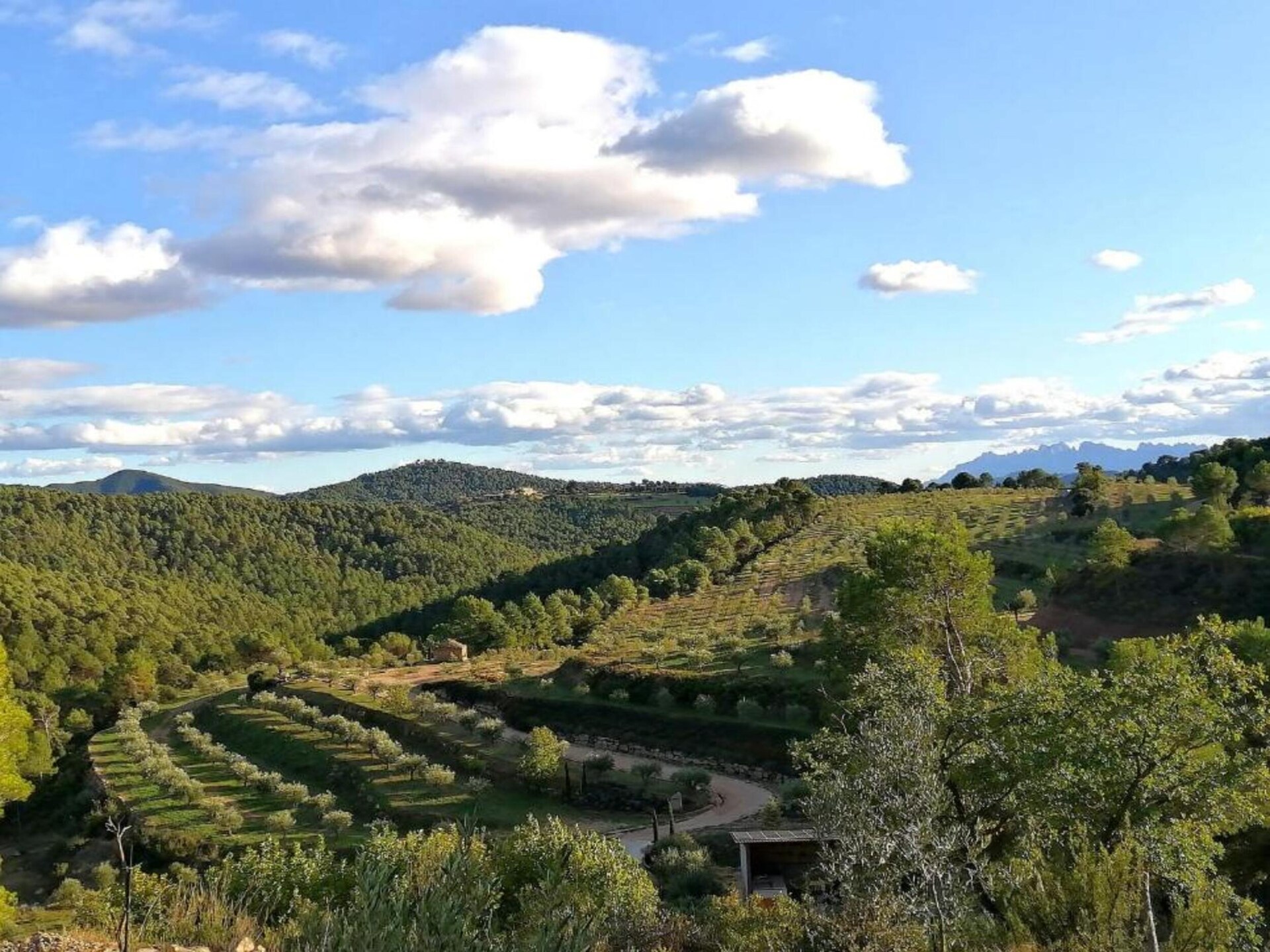 Authentiek landhuis in de bossen van Castellnou de Bages voor 6 personen - foto 35