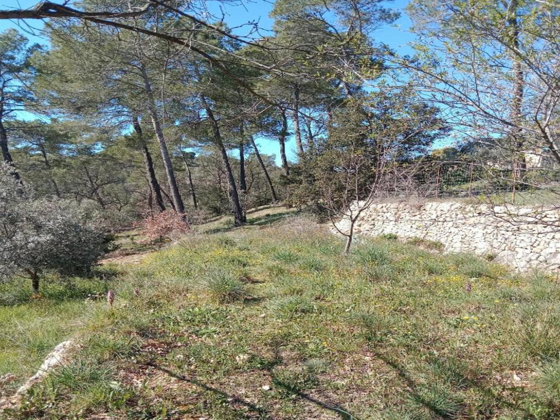 Villa Nakato: Zonovergoten vrijstaand huis met tuin nabij zee en meer - foto 37