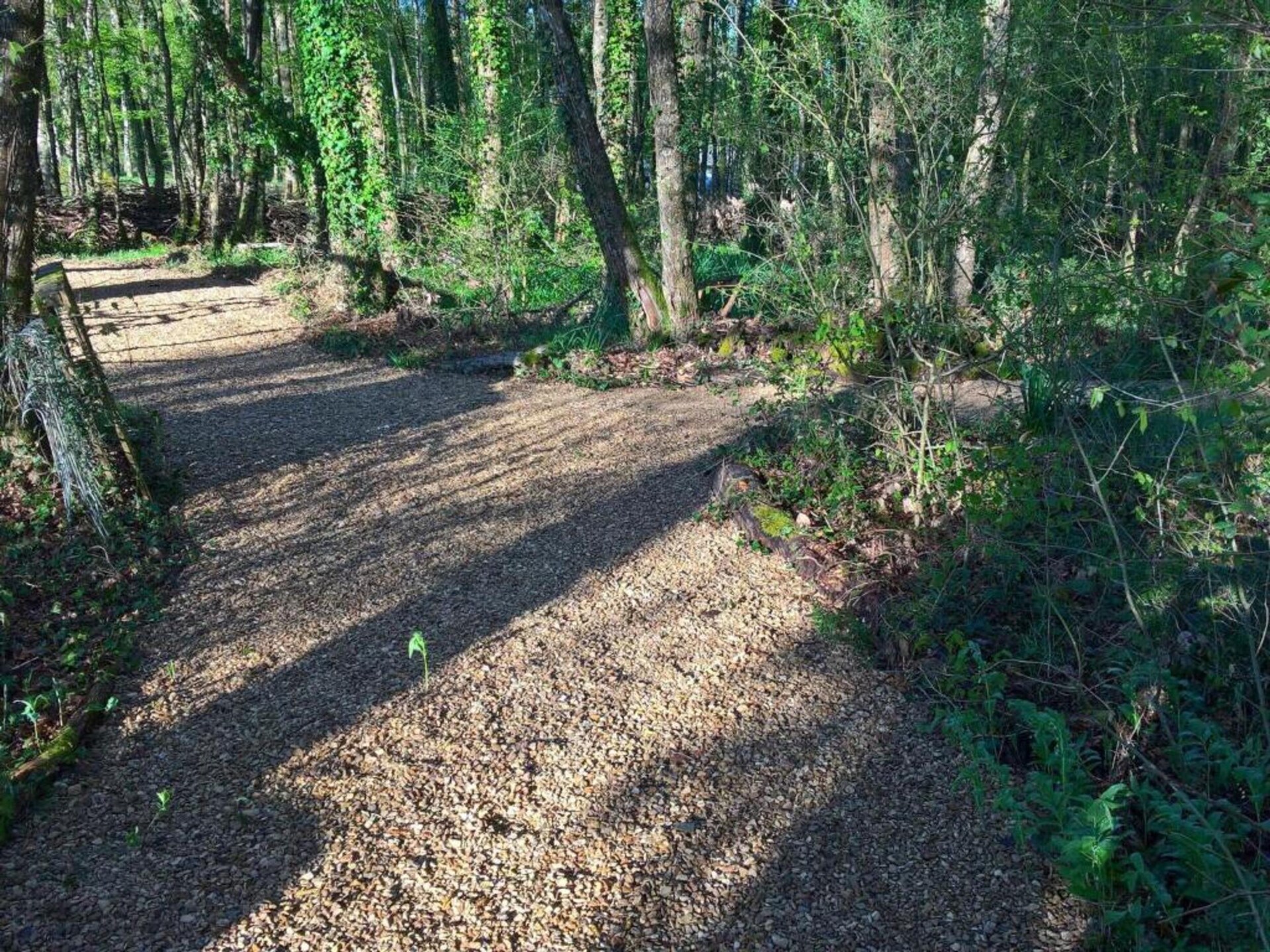Luxe villa L'Aveneau in Vasles voor 6 personen - foto 31