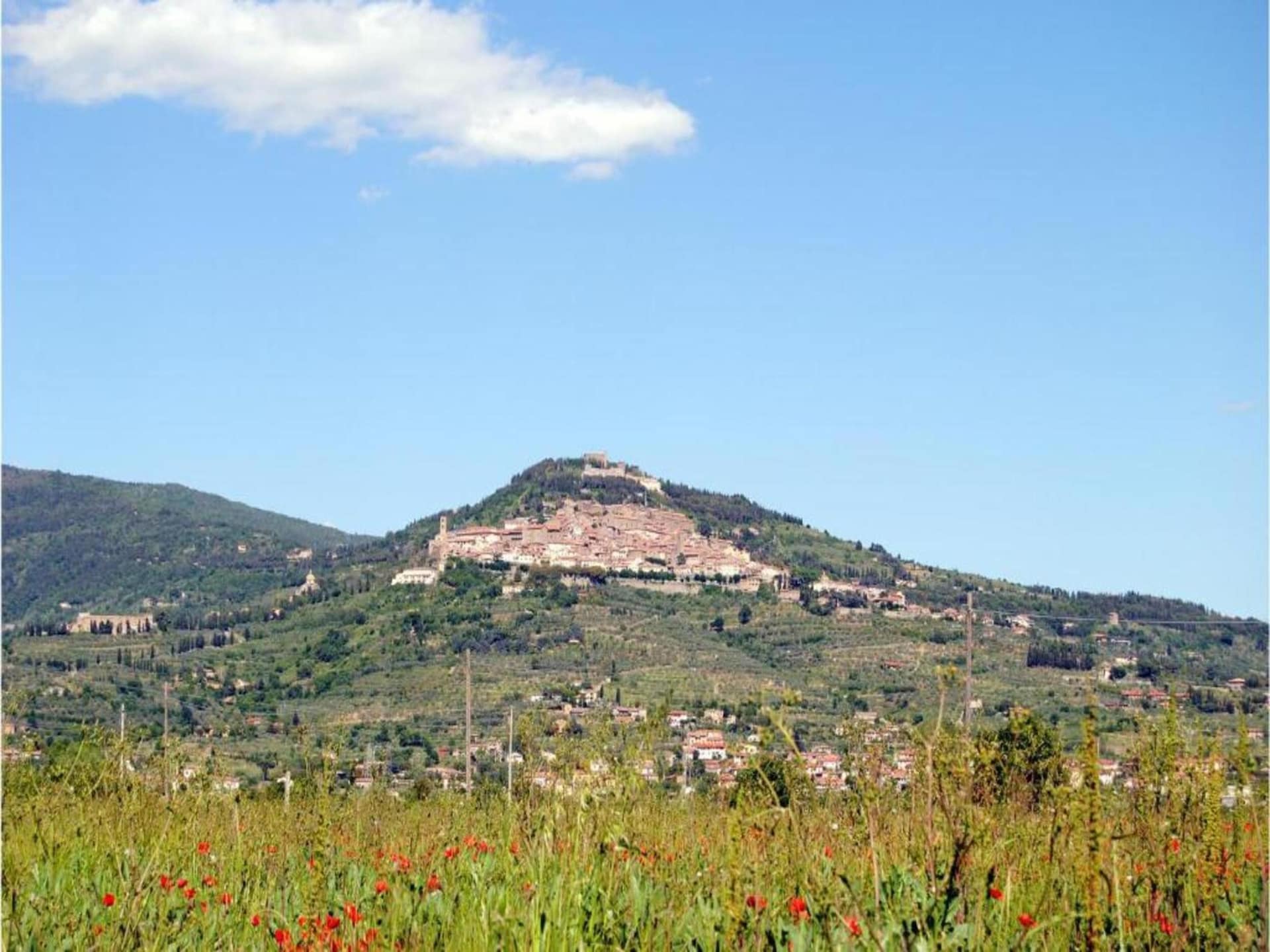 Privézwembad en landelijke charme in villa Borgo Le Spighe, Cortona - foto 29