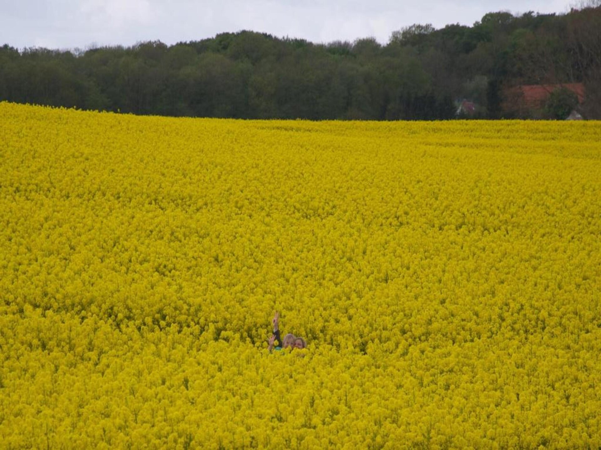 Gezellig vakantiehuis in Hohenkirchen met tuin en strandkorf - foto 23