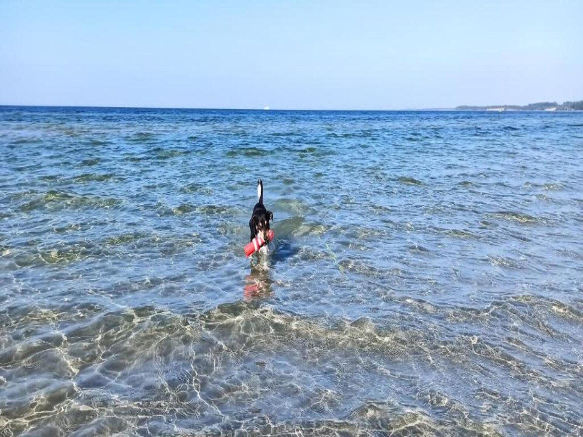 Gezellig vakantiehuis in Hohenkirchen met tuin en strandkorf - foto 31