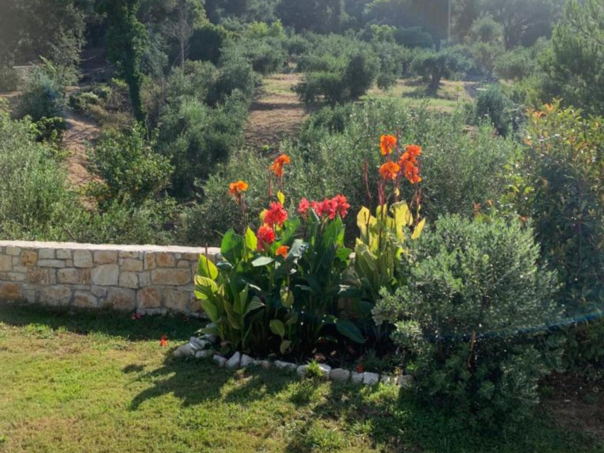 Villa Spirena: Vrijstaande villa met uitzicht op zee bij Afionas, Corfu - foto 24