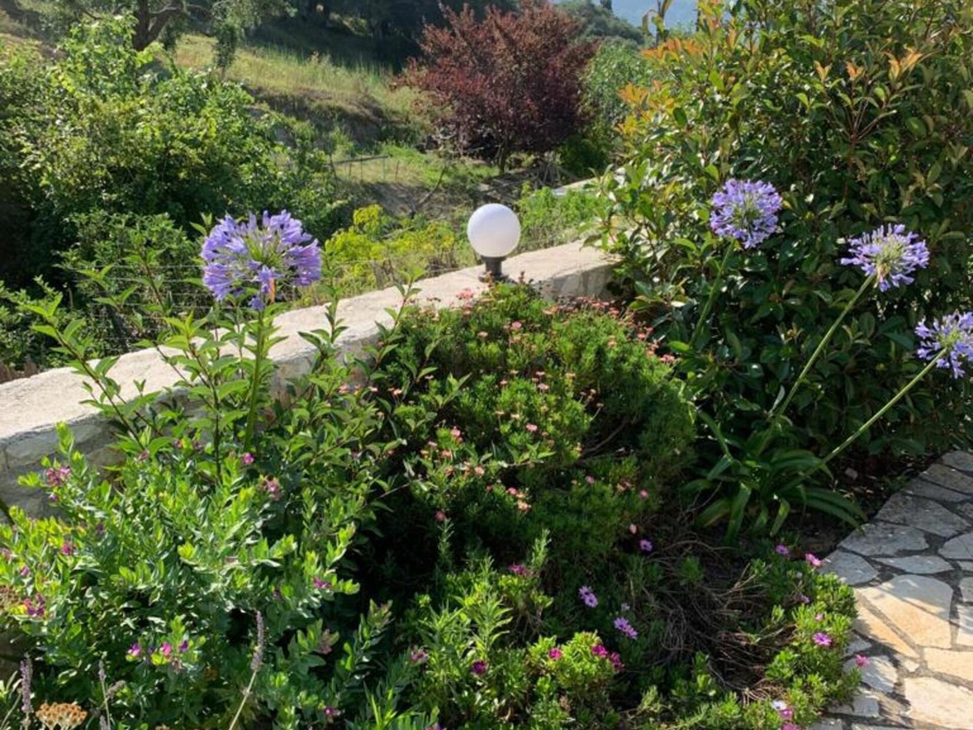 Villa Spirena: Vrijstaande villa met uitzicht op zee bij Afionas, Corfu - foto 25