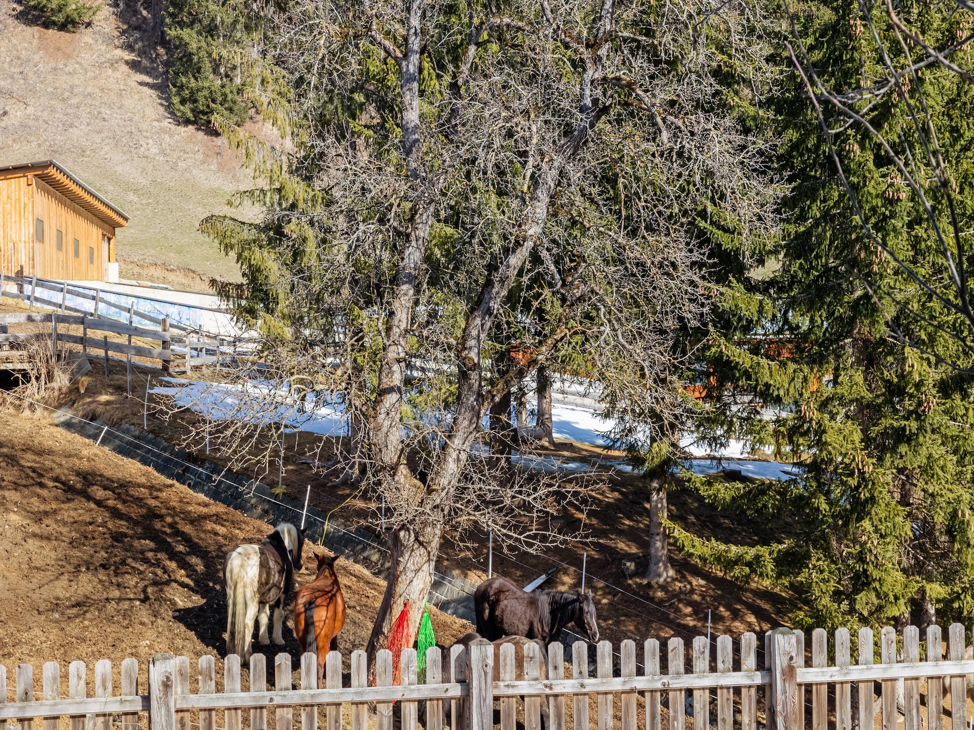 Chalet Jari - Vrijstaand chalet met panoramisch uitzicht in Rangersdorf, Karinthië - foto 31