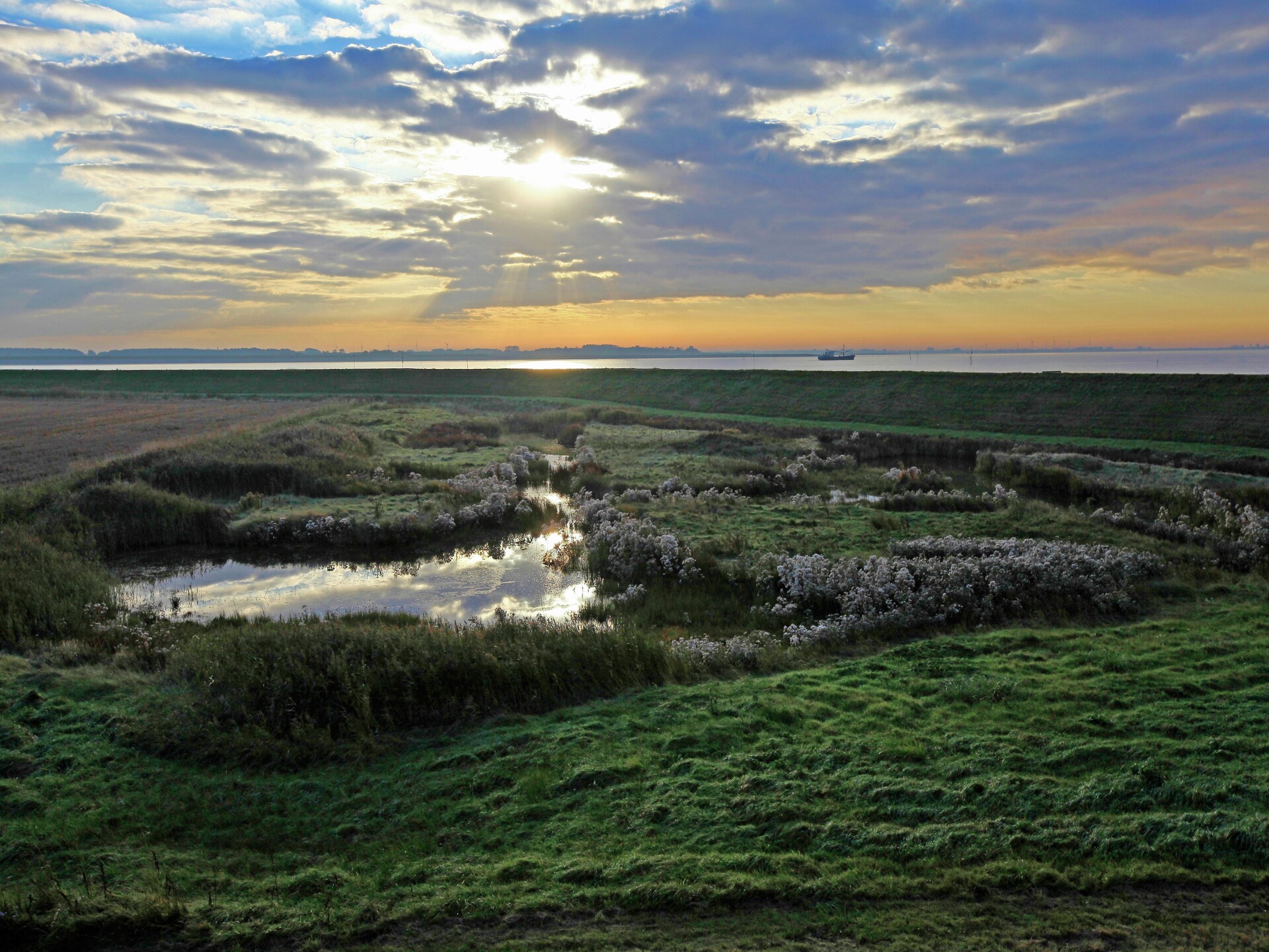 Modern vakantiehuis aan de Oosterschelde met vrij uitzicht - foto 17