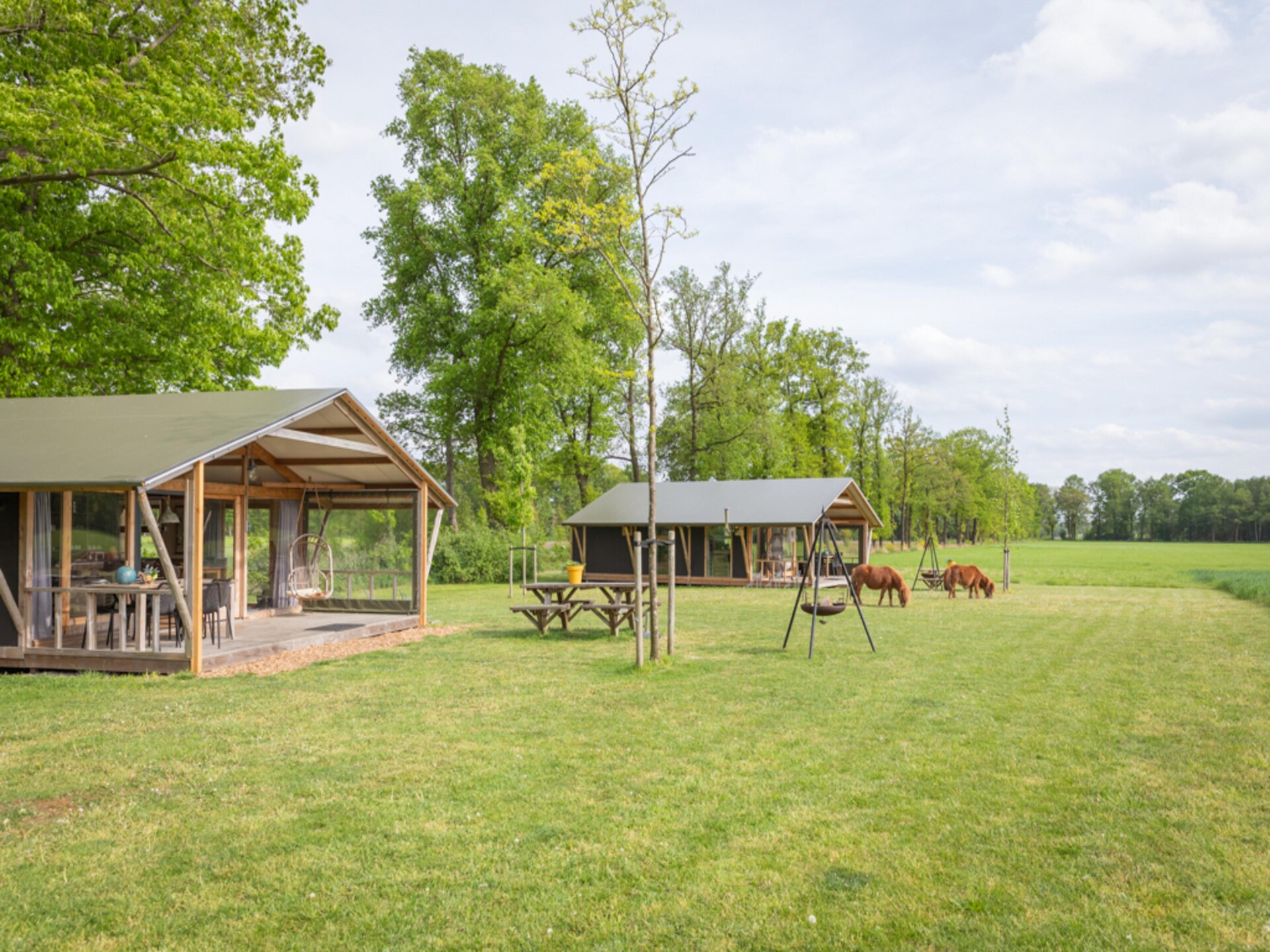 Luxe glamping tent op rustiek vakantiepark in het Overijsselse Buurse - foto 8