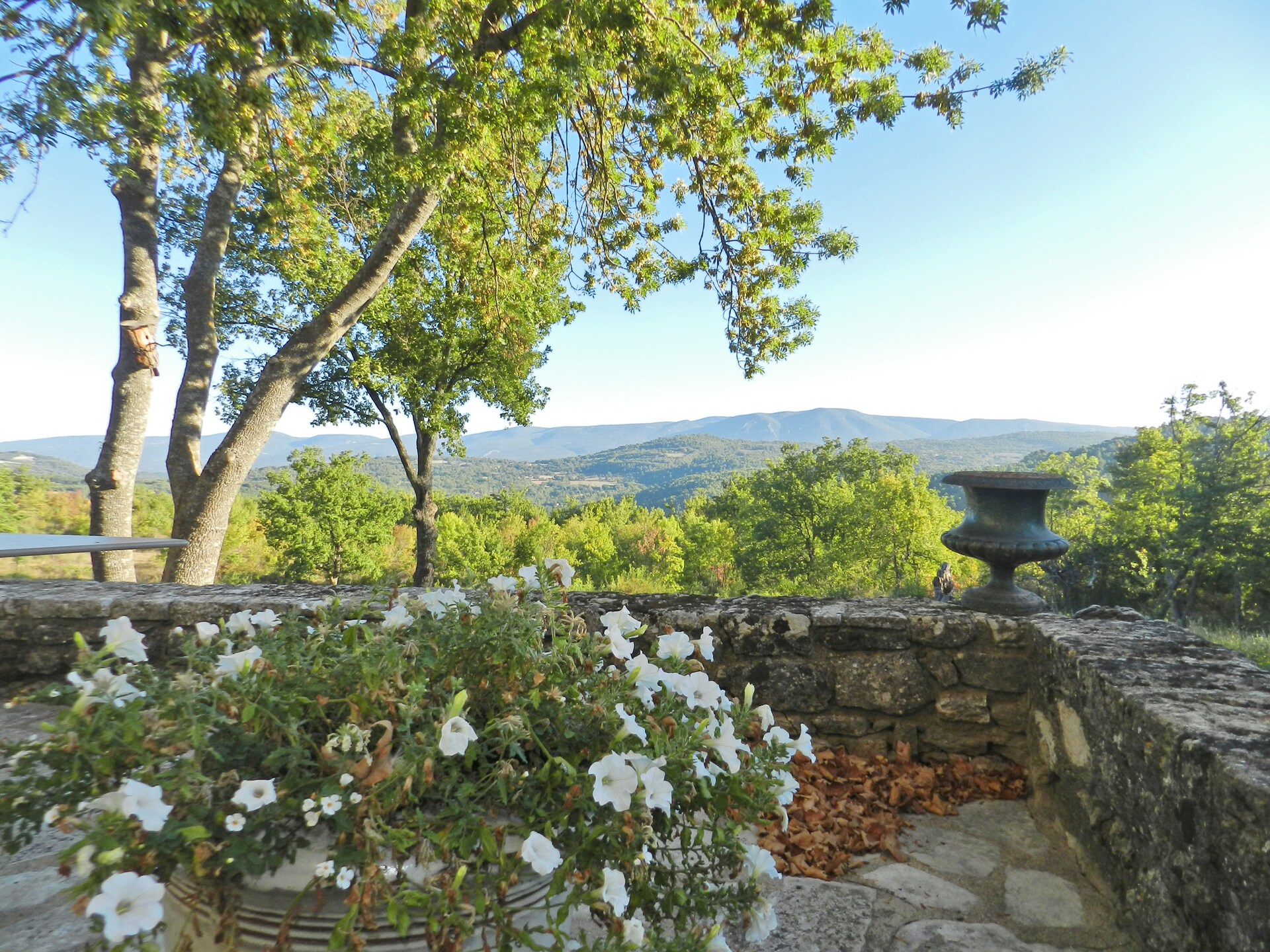 Authentieke Provençaalse villa met privézwembad en uitzicht op de Luberon - foto 19