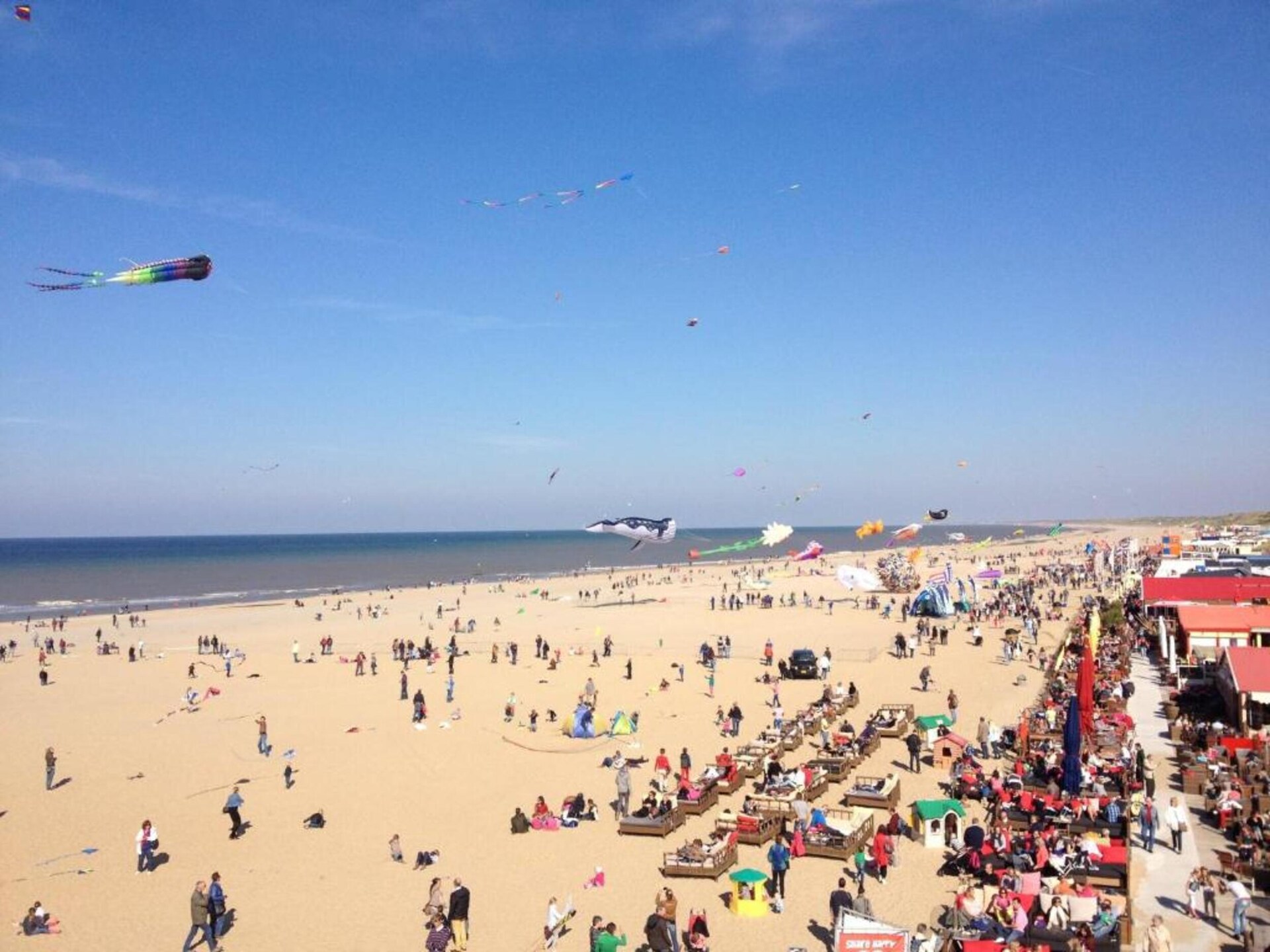 Gezellig familiehuis met tuin nabij Den Haag en strand - foto 23