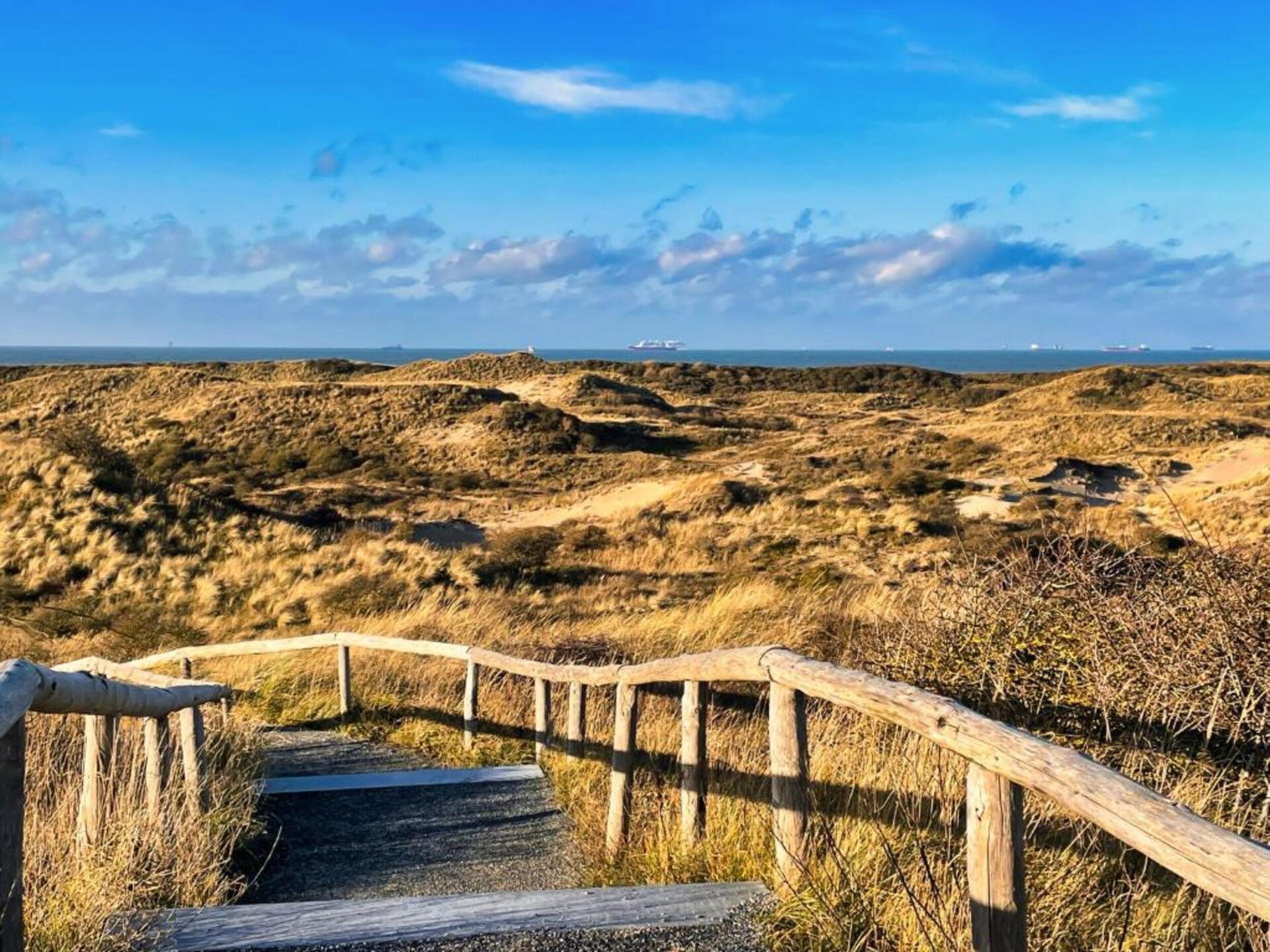 Gezellig familiehuis met tuin nabij Den Haag en strand - foto 22