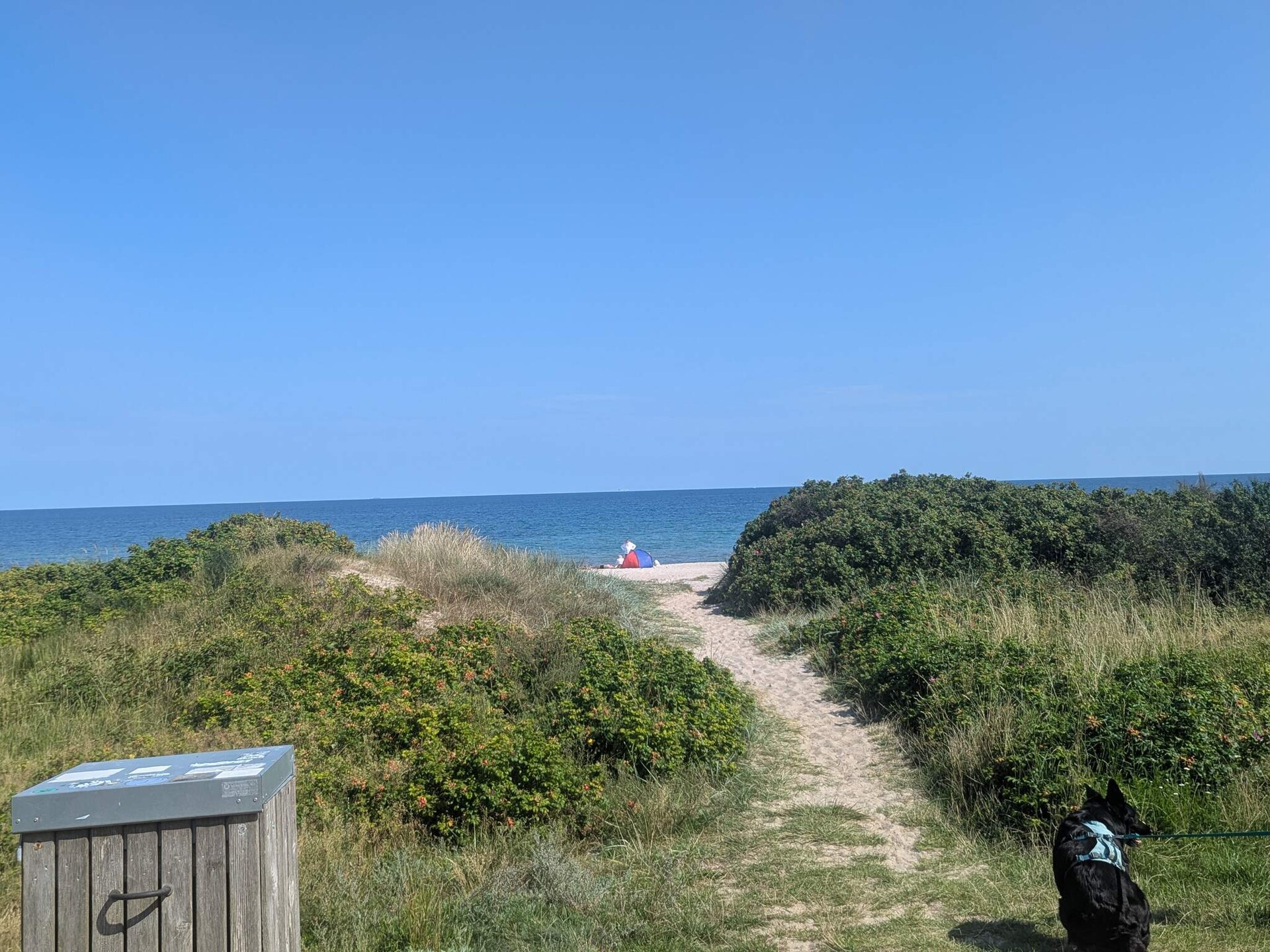 6-persoons vakantiehuis in Gedser op 1 km van de zee · 6 pers. - foto 5