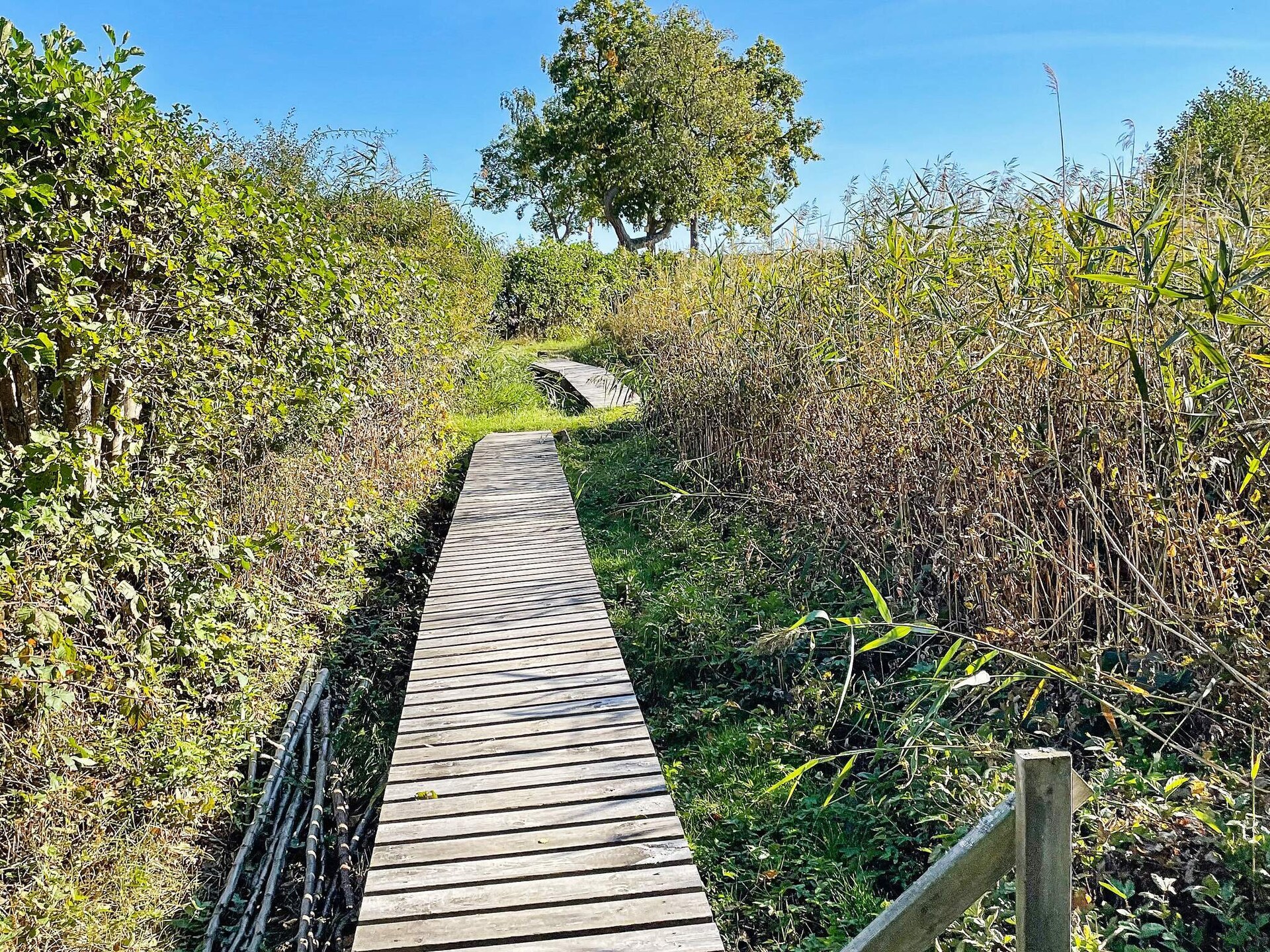 Vrijstaand vakantiehuis met prachtig zeezicht bij Figeholm - foto 18