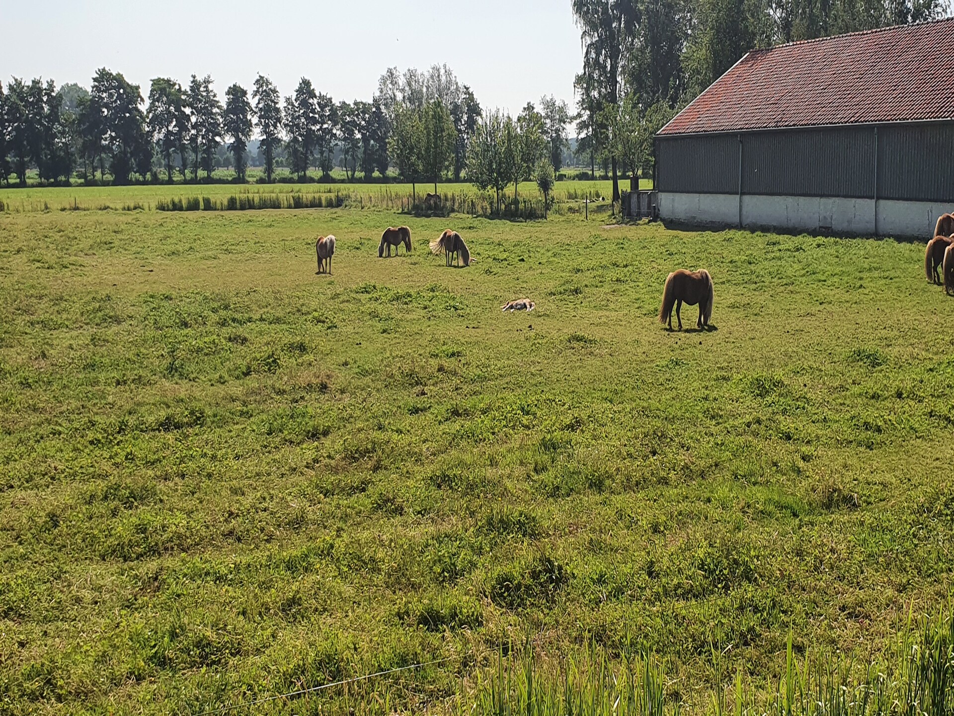Landelijk landhuis in bosrijk Overberg met uitzicht over weilanden - foto 35
