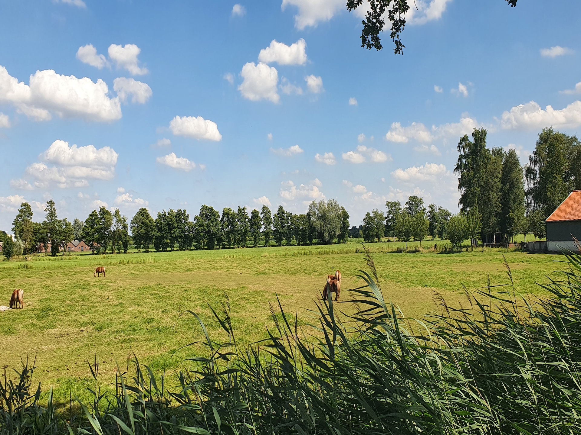 Landelijk landhuis in bosrijk Overberg met uitzicht over weilanden - foto 40