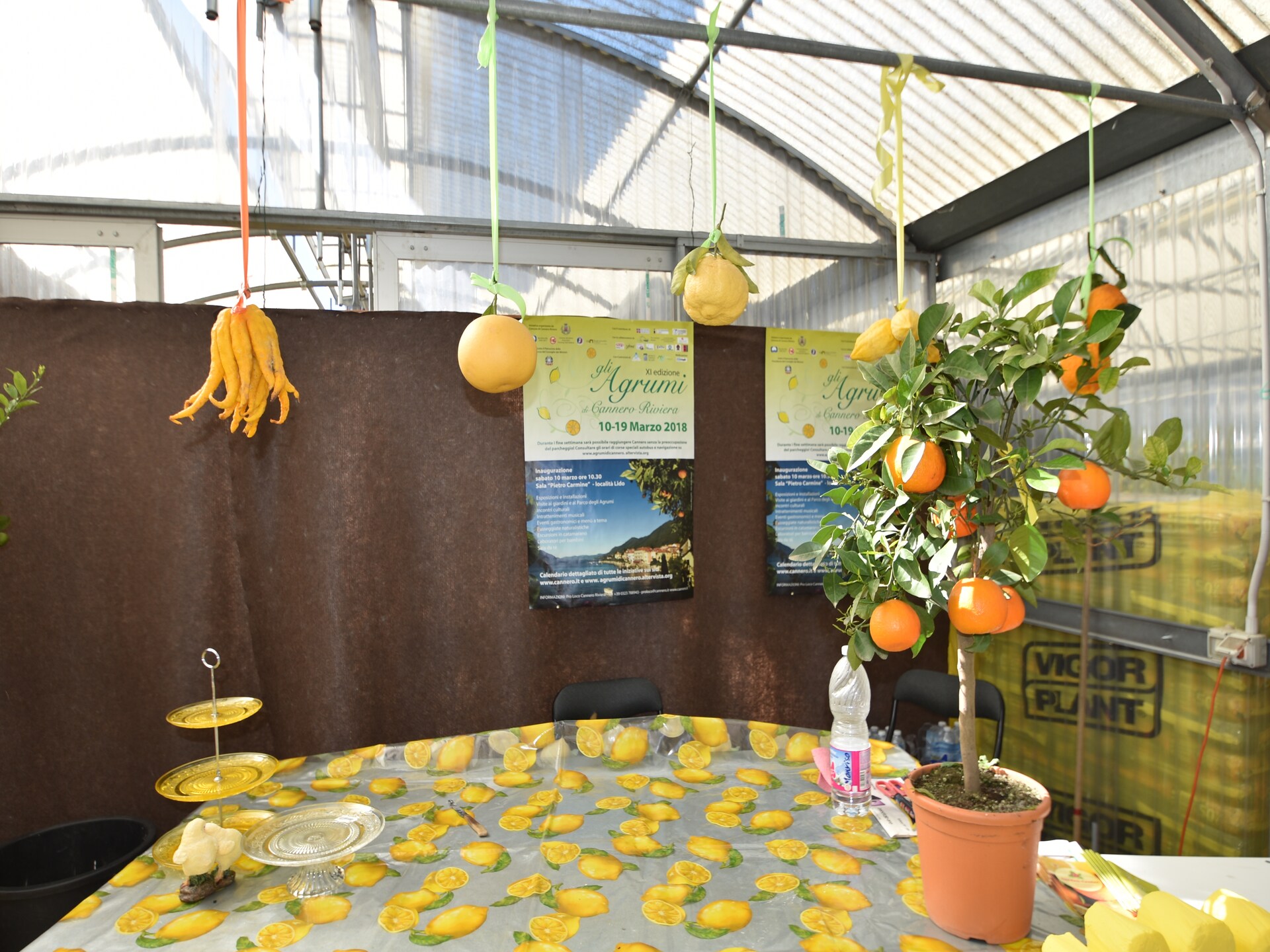 Cannero Casa Iva – Ruim vakantiehuis op 400m van het Lago Maggiore - foto 21