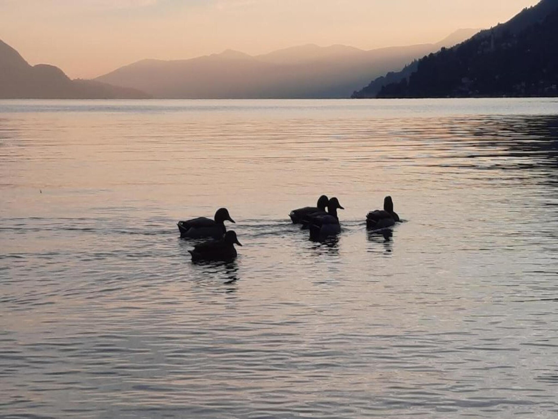 Cannero Casa Iva – Ruim vakantiehuis op 400m van het Lago Maggiore - foto 33