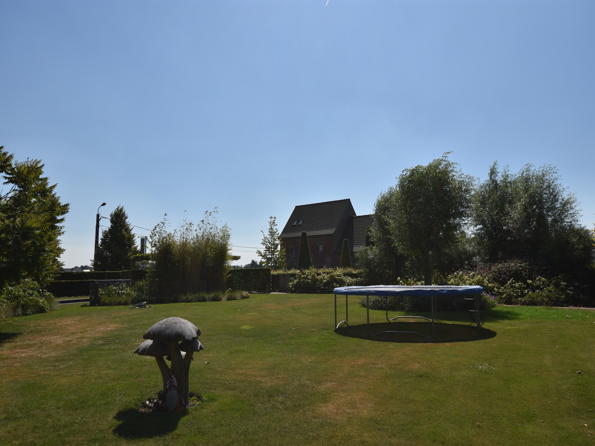 Den Ast - foto 31