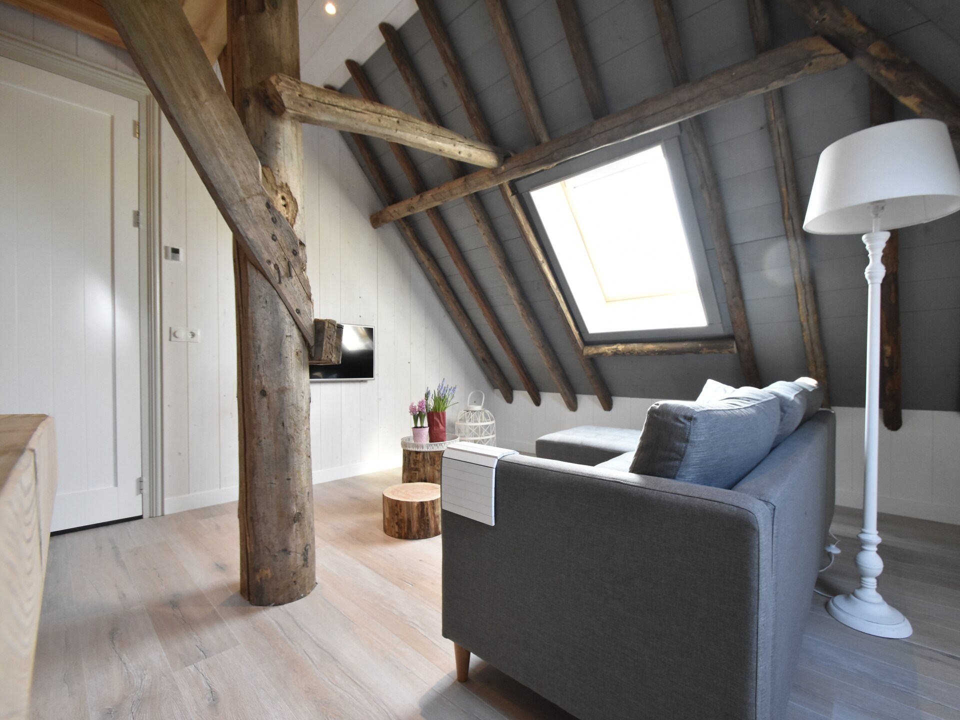 Hazenborgh - Zon: Knus appartement aan de golfbaan bij het strand - foto 9
