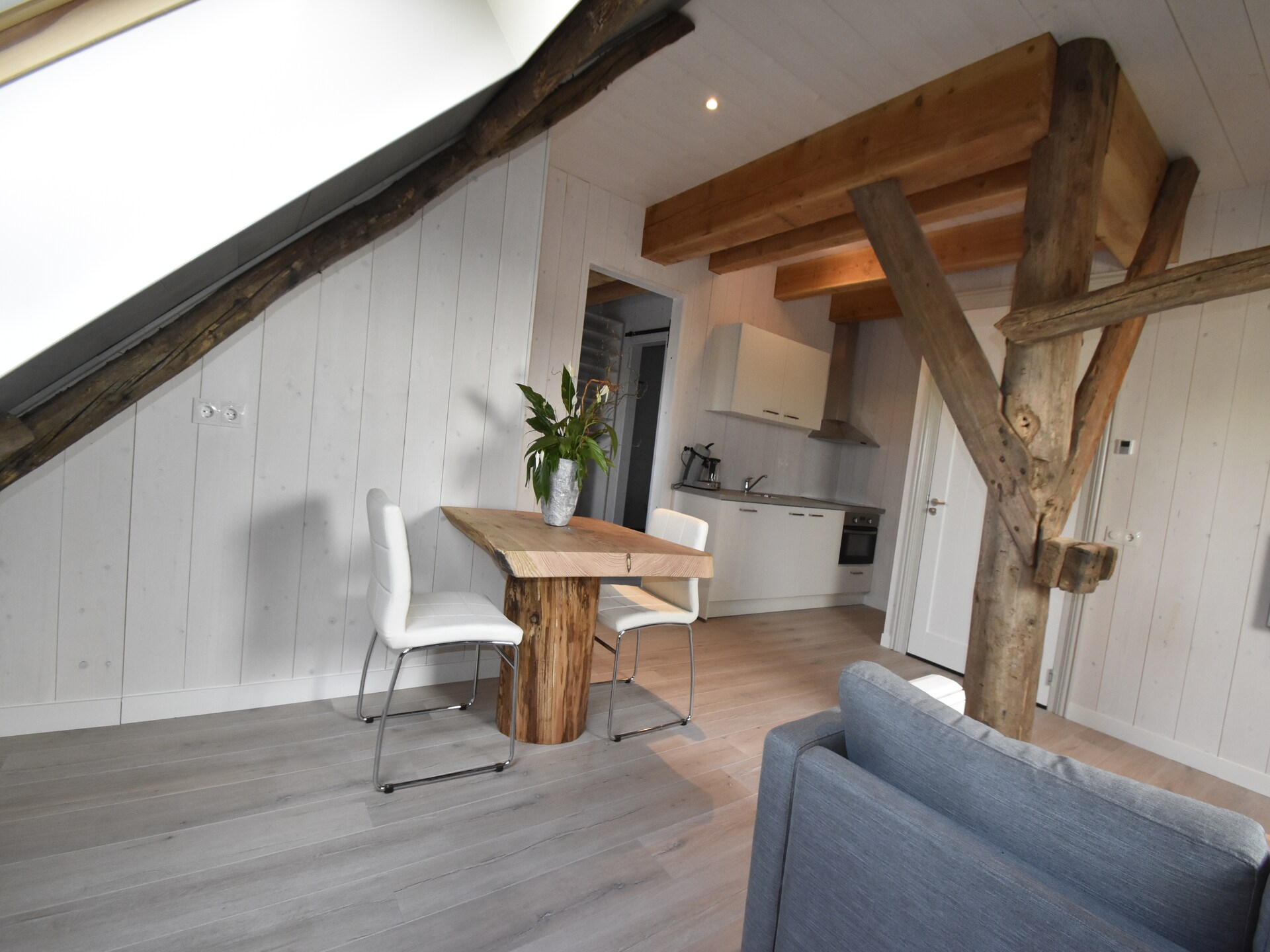 Hazenborgh - Zon: Knus appartement aan de golfbaan bij het strand - foto 3