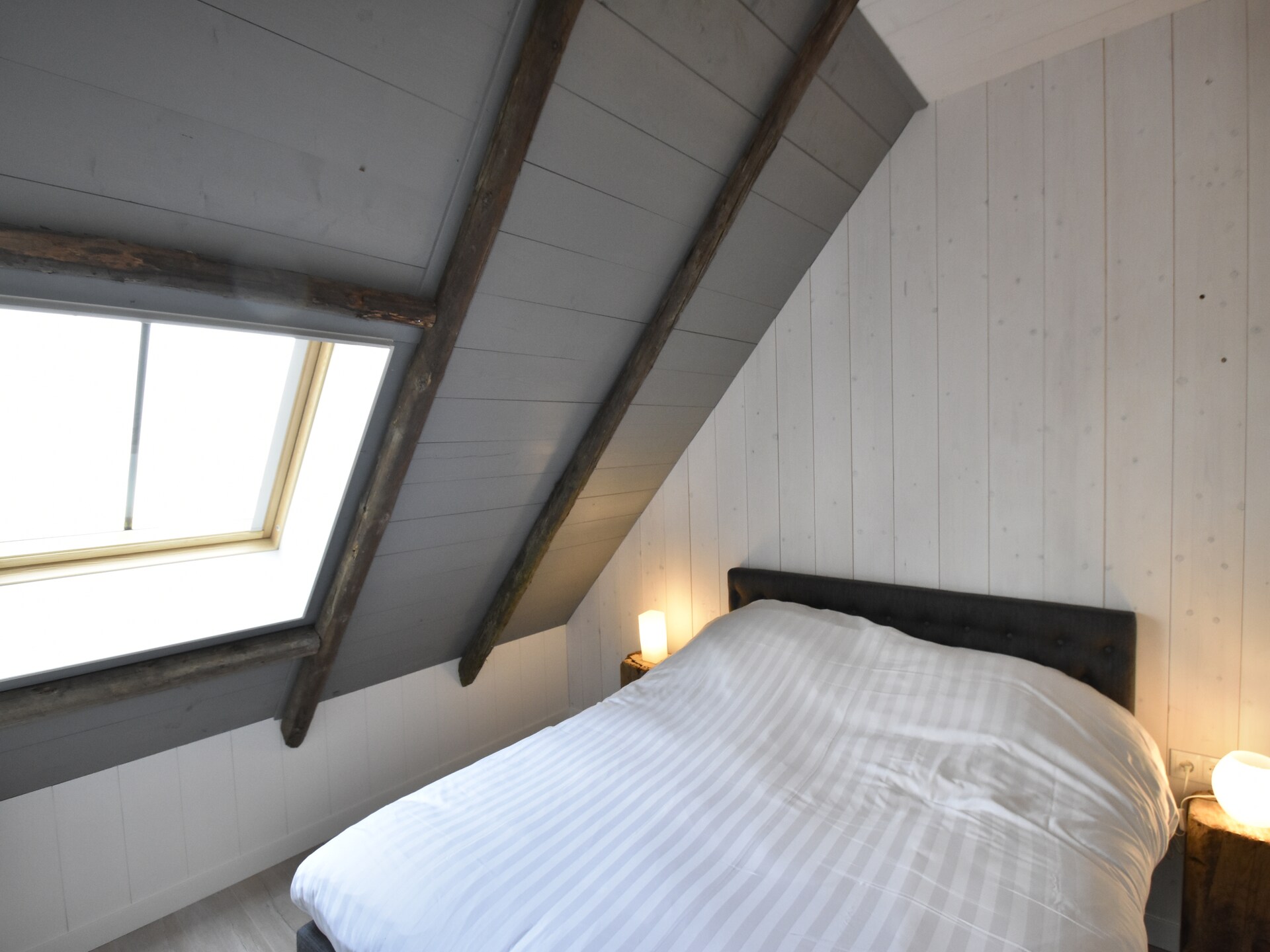 Hazenborgh - Zon: Knus appartement aan de golfbaan bij het strand - foto 11