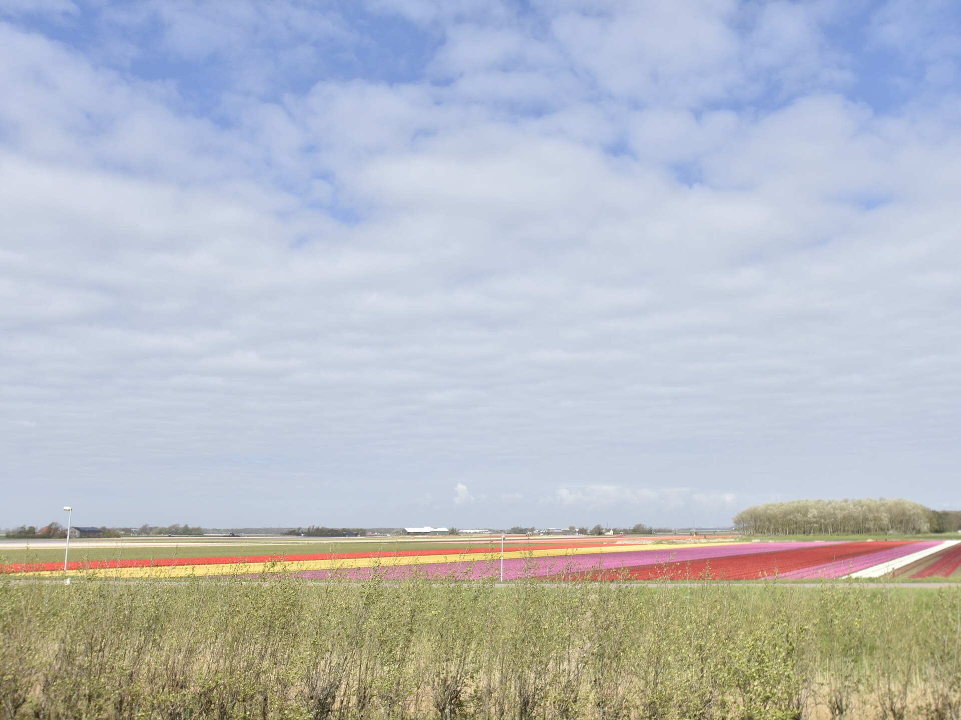 Hazenborgh - Zon: Knus appartement aan de golfbaan bij het strand - foto 17