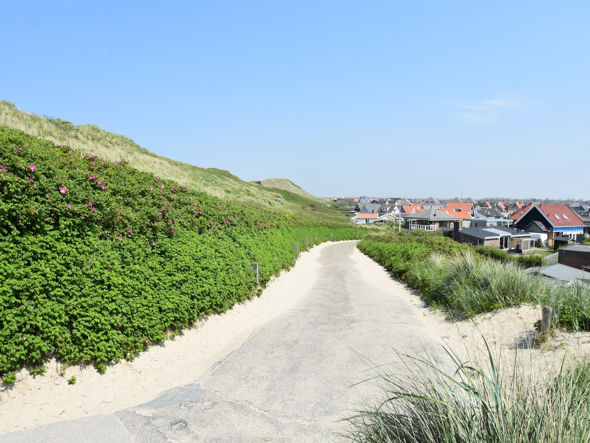 Hazenborgh - Zon: Knus appartement aan de golfbaan bij het strand - foto 22